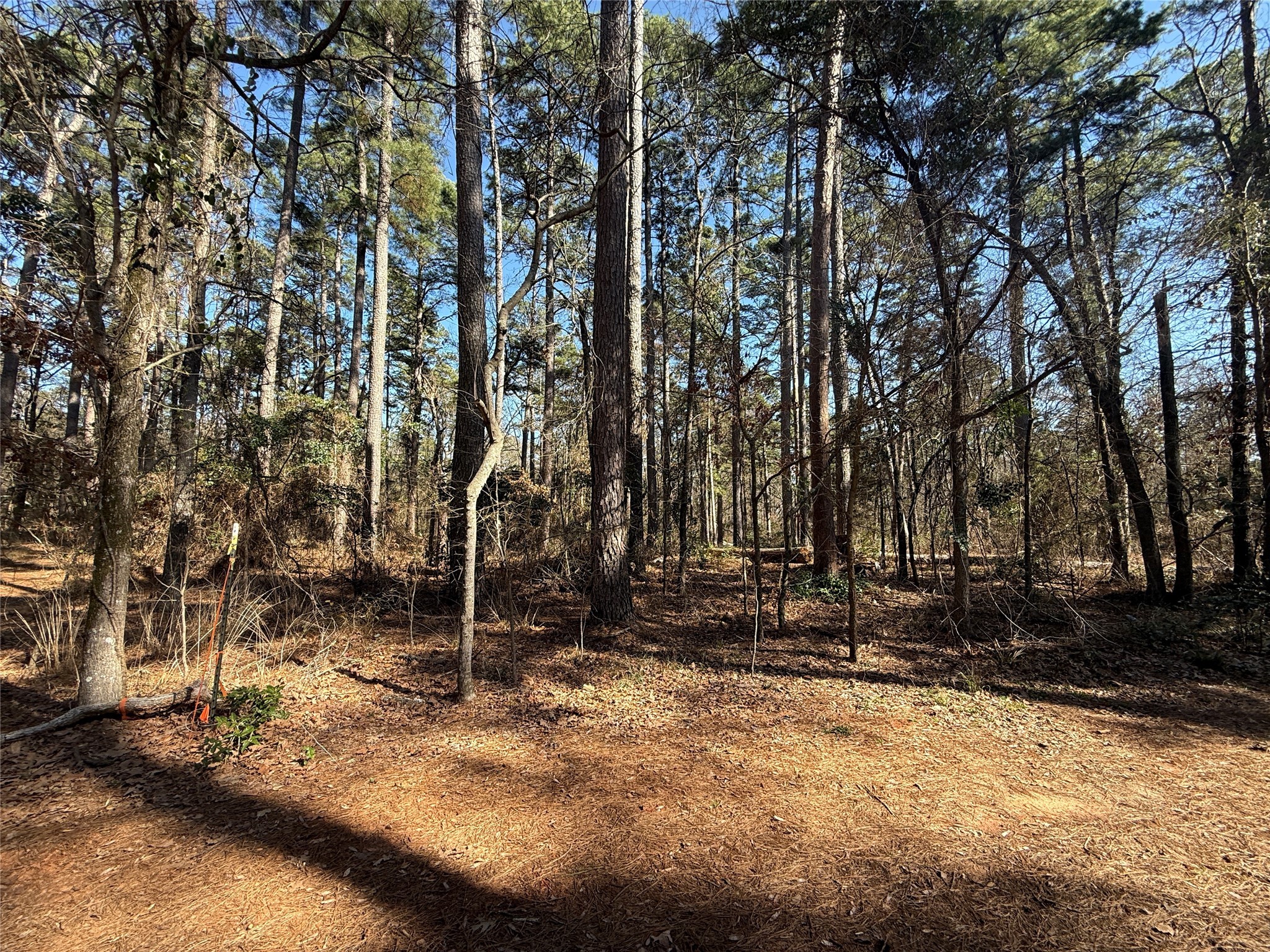 Lot 3 Private Road 8573 Winnsboro TX 75494