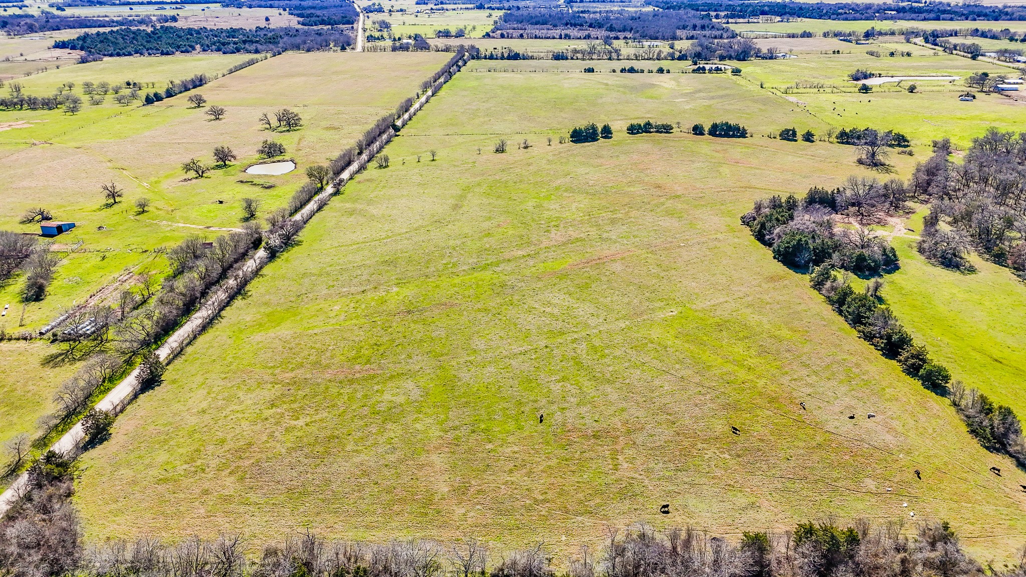 Tract 7 SW Cr 2040 Purdon TX 76679