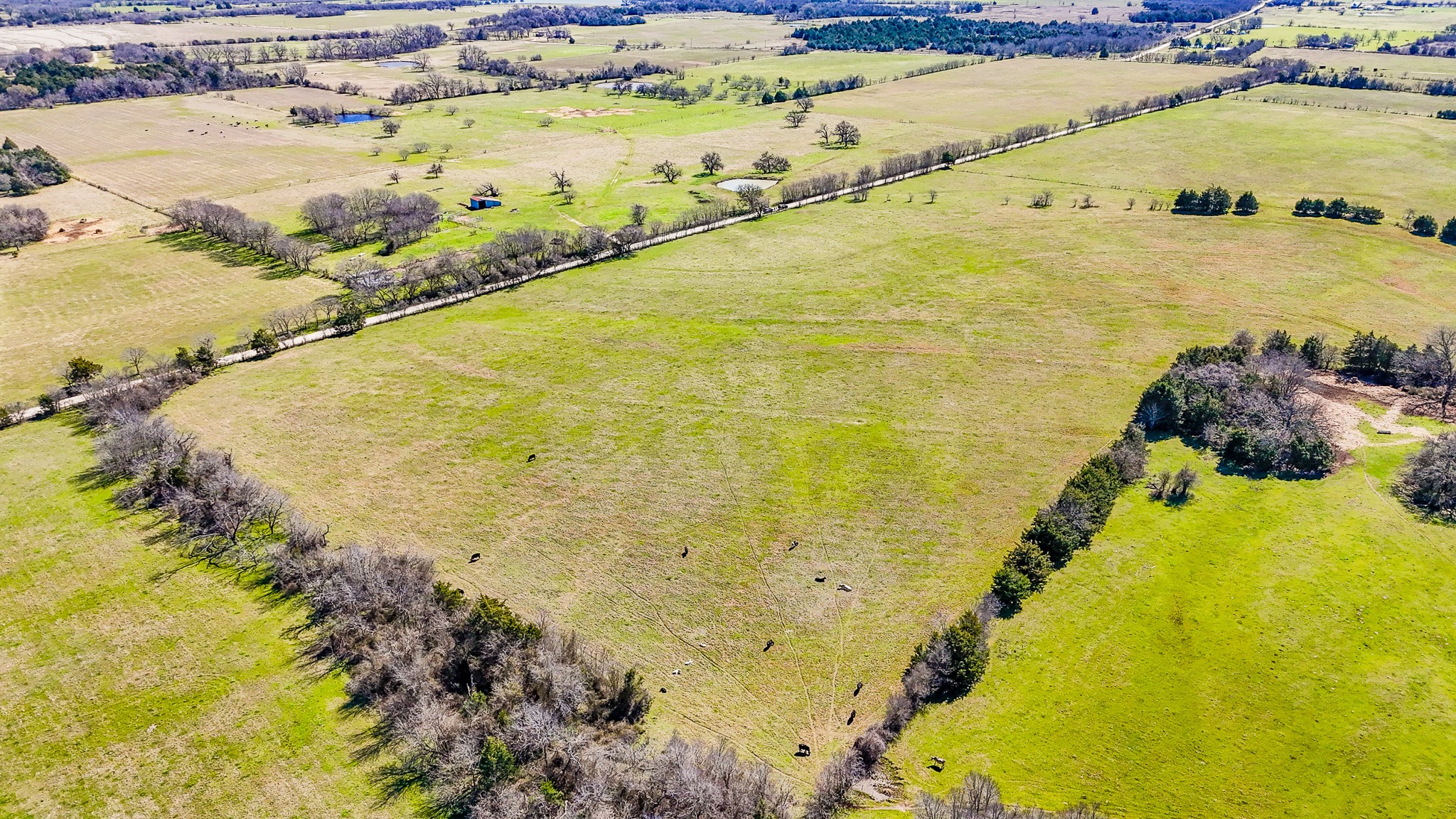 Tract 7 SW Cr 2040 Purdon TX 76679