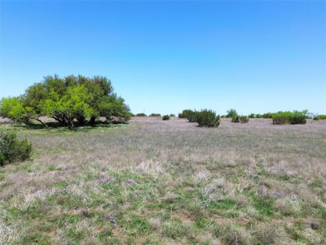 485 Hollow Drive Lipan TX 76462
