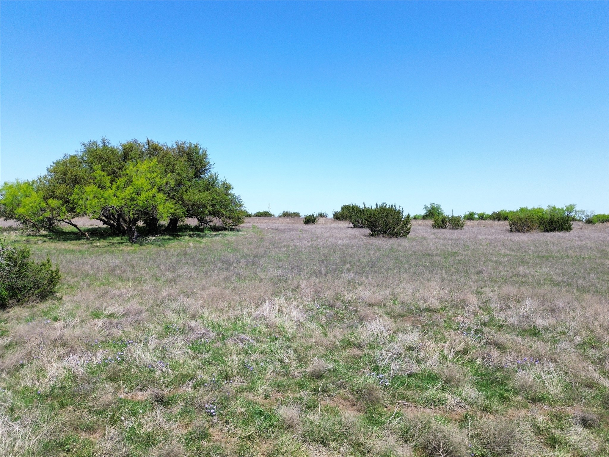 485 Hollow Drive Lipan TX 76462