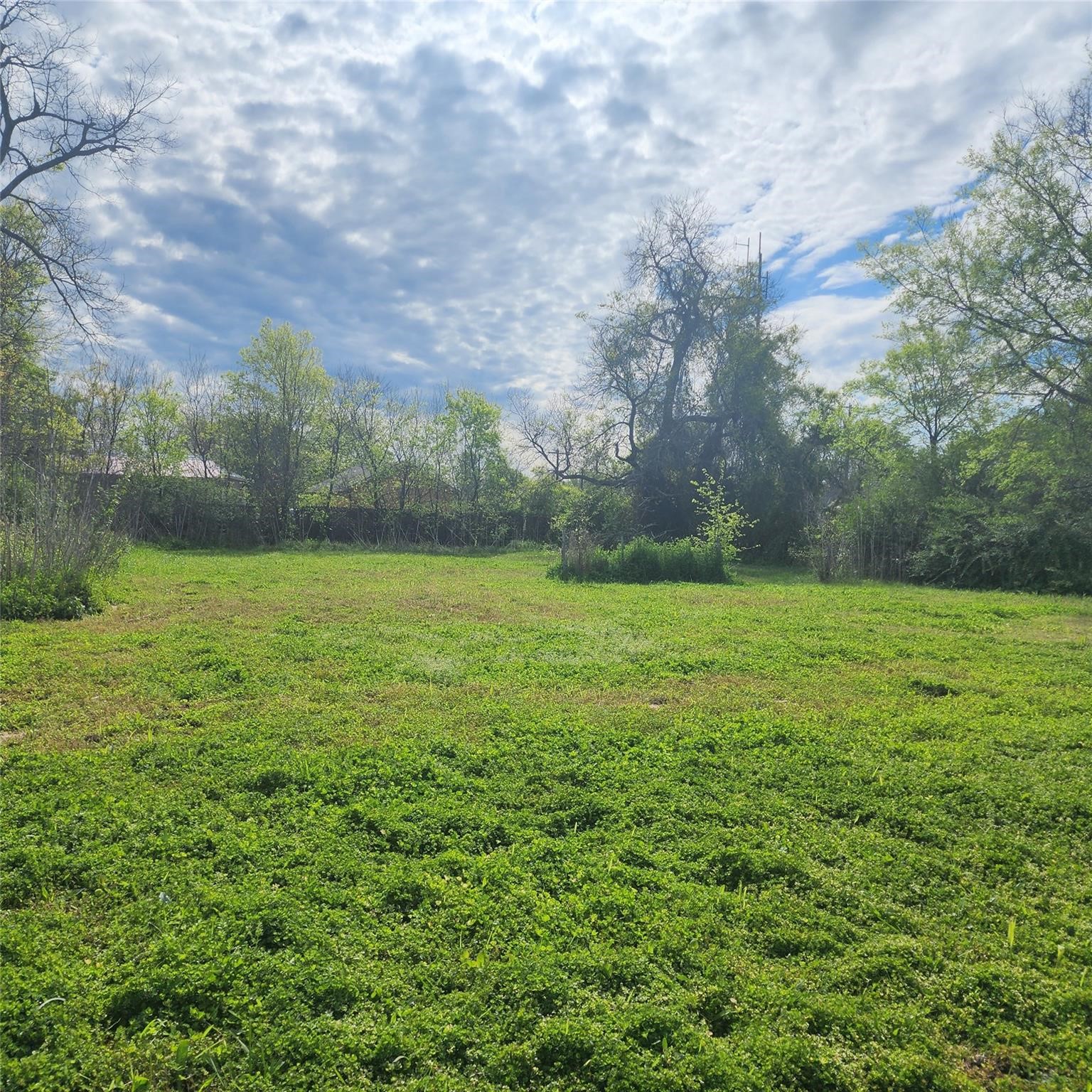 2927 Wellington Street Greenville TX 75401