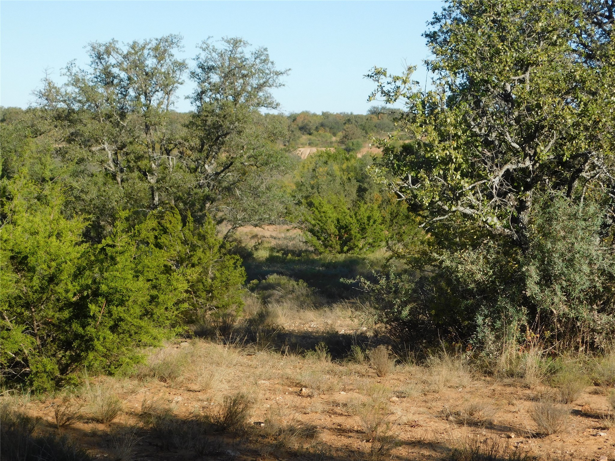 Tract 4 County Road 131 Brownwood TX 76801