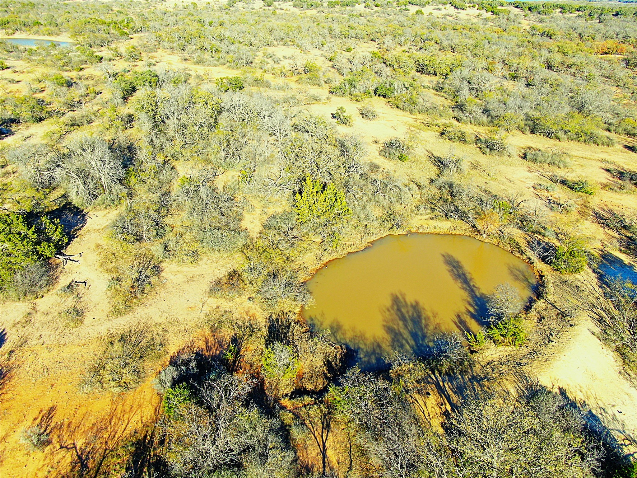 Tract 4 County Road 131 Brownwood TX 76801
