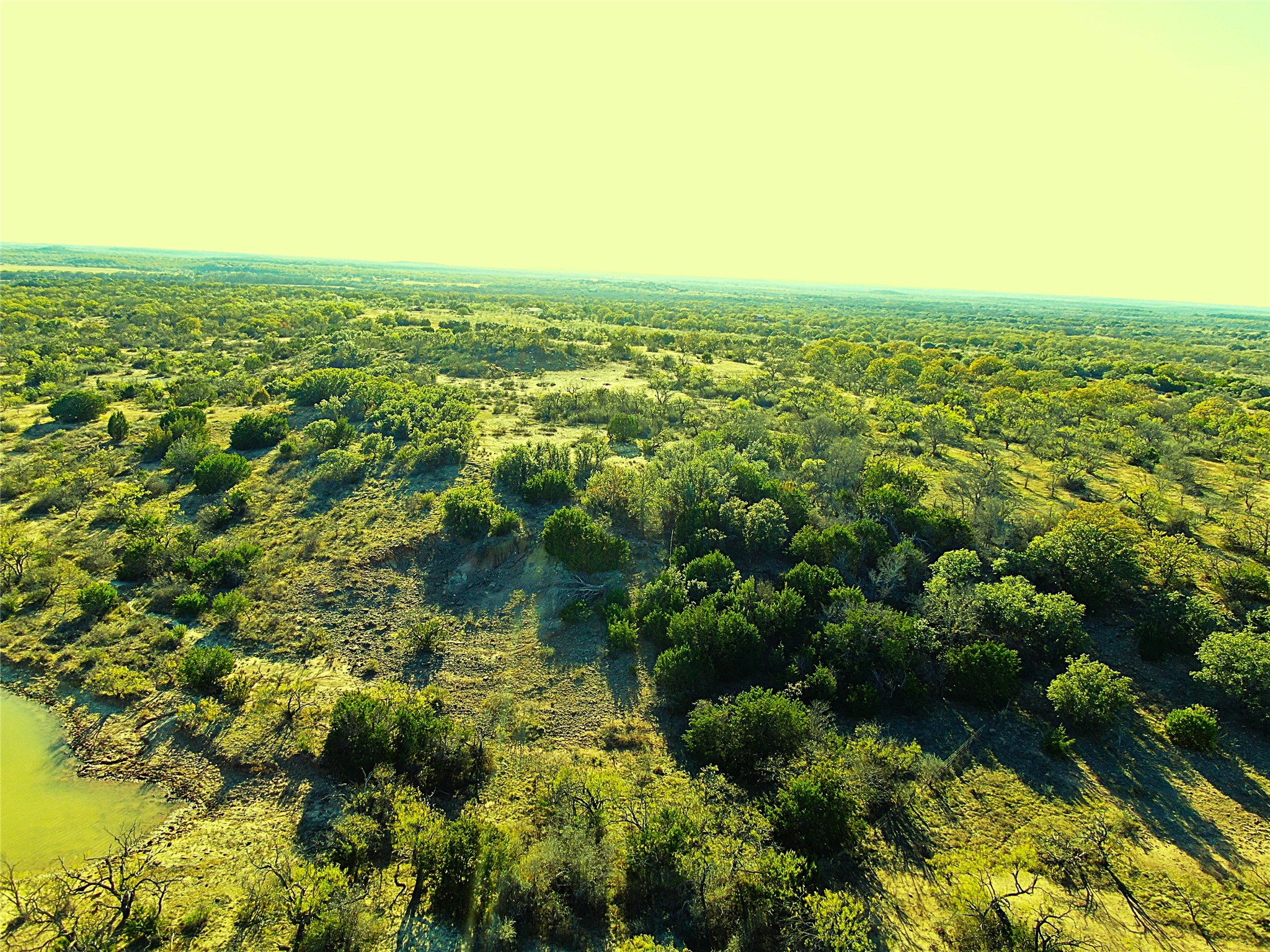 Tract 4 County Road 131 Brownwood TX 76801