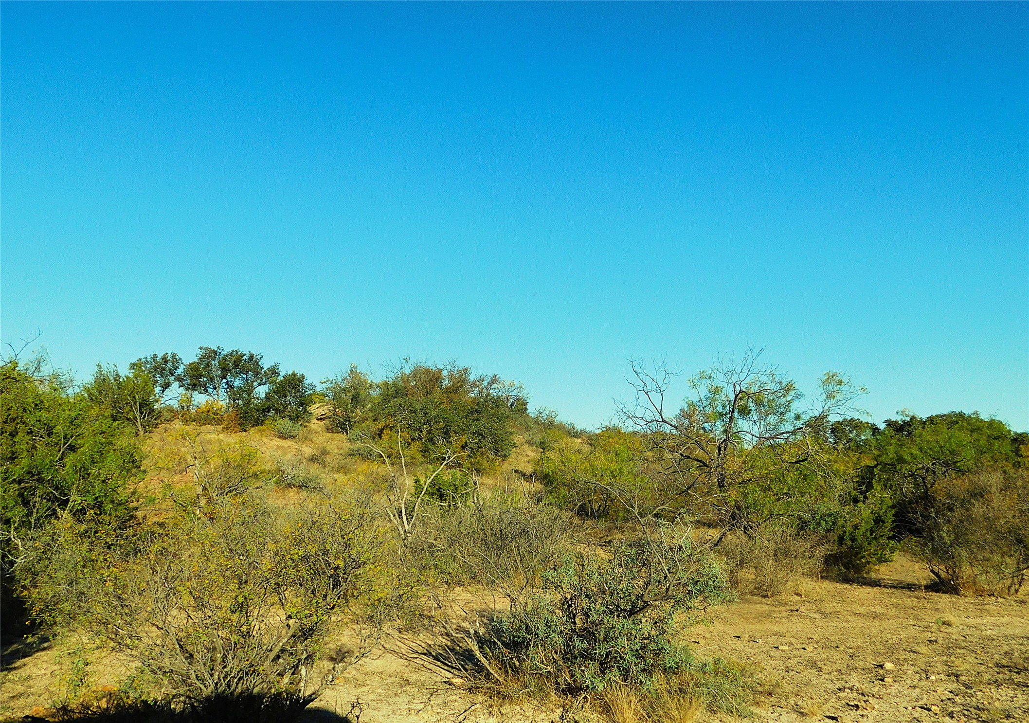 Tract 4 County Road 131 Brownwood TX 76801