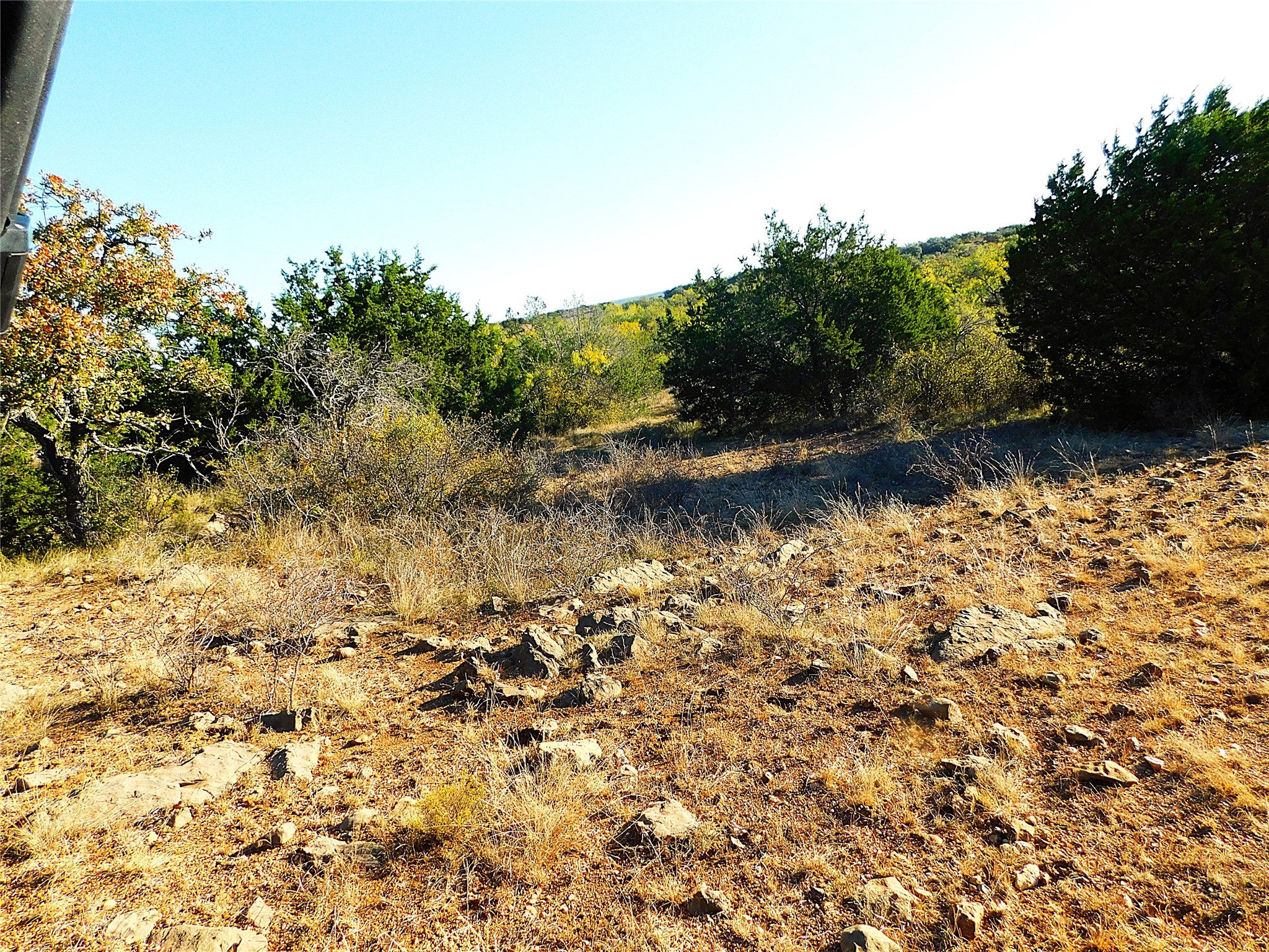 Tract 4 County Road 131 Brownwood TX 76801