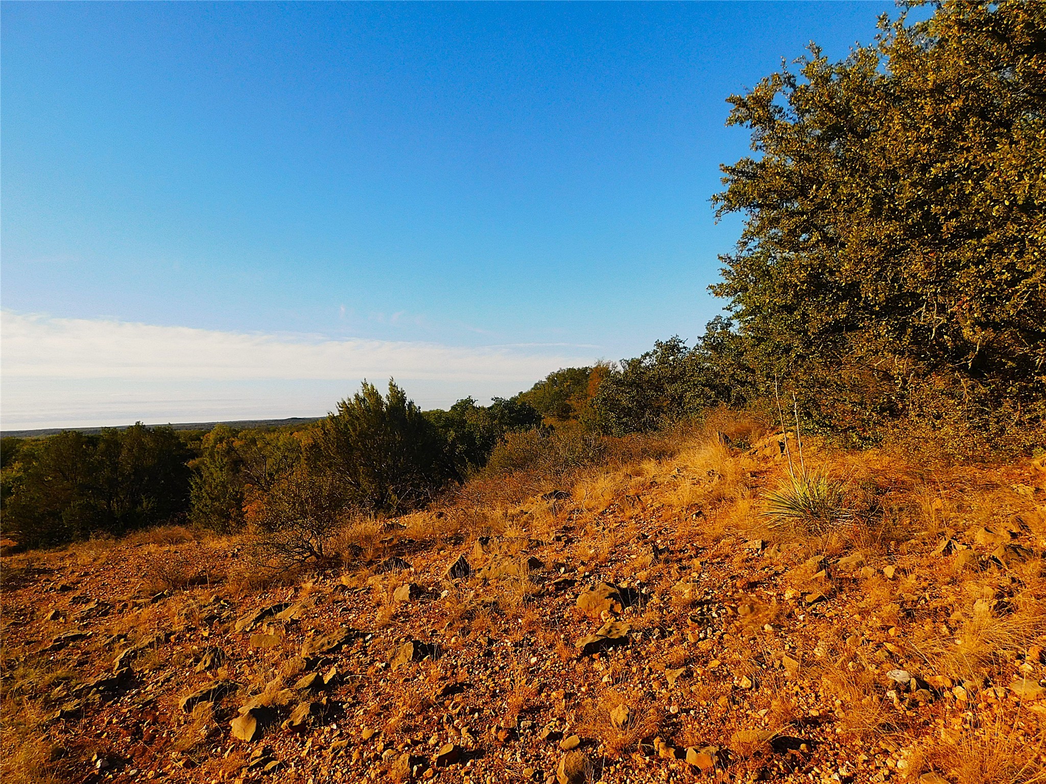 Tract 4 County Road 131 Brownwood TX 76801