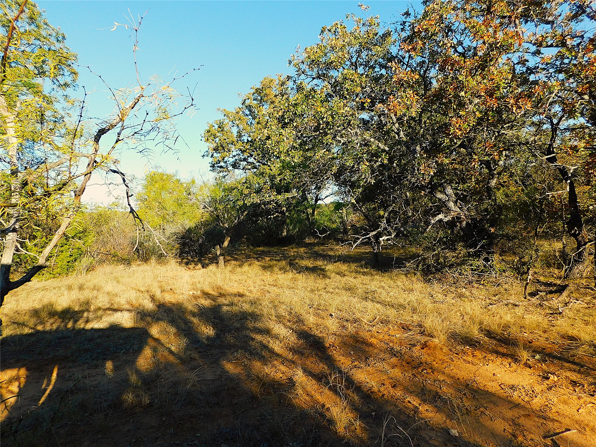 Tract 4 County Road 131 Brownwood TX 76801