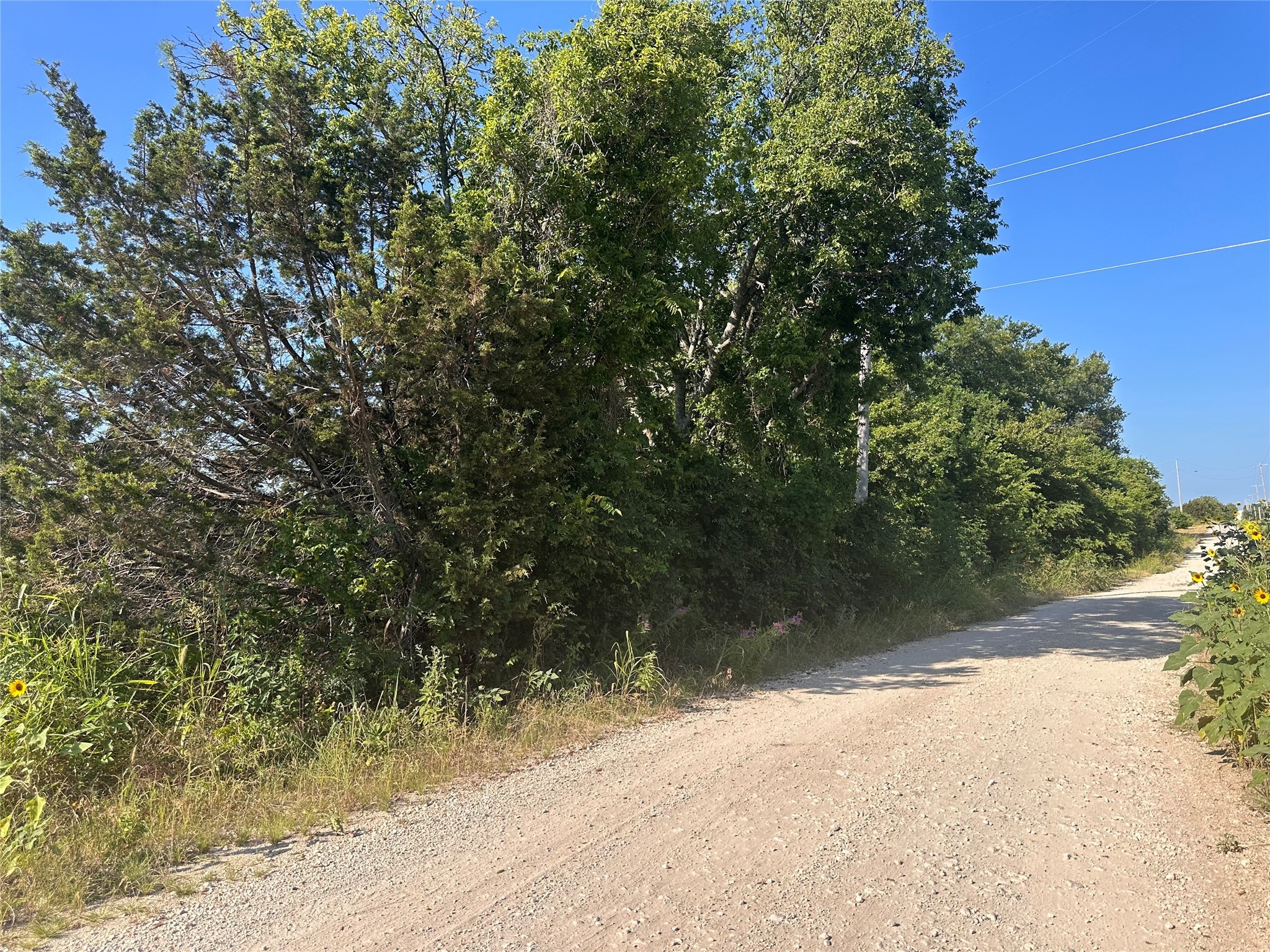 482 County Road 2655 Walnut Springs TX 76690