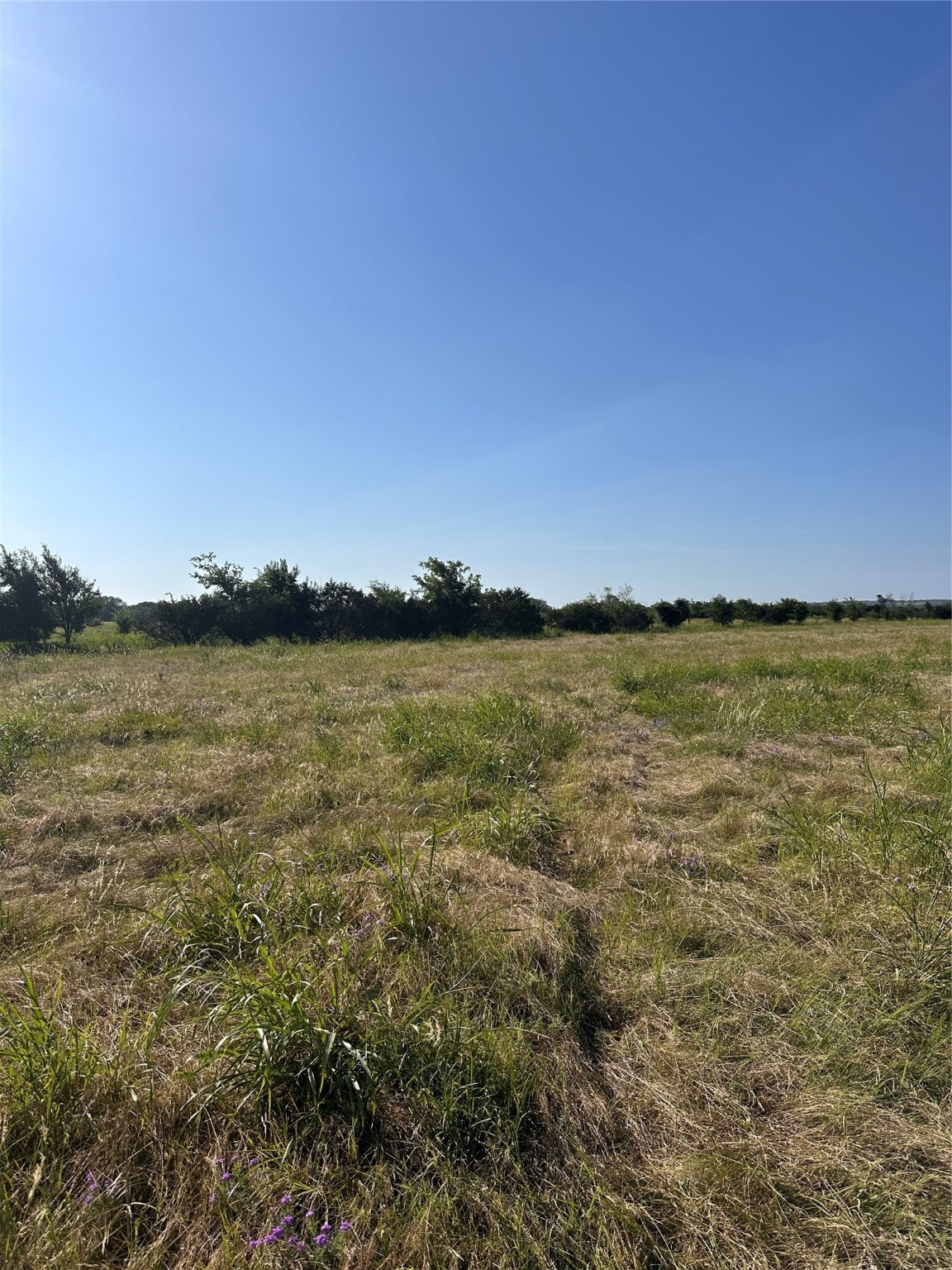 482 County Road 2655 Walnut Springs TX 76690