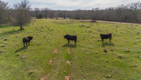 Tbd Hcr 2424 Hillsboro TX 76645