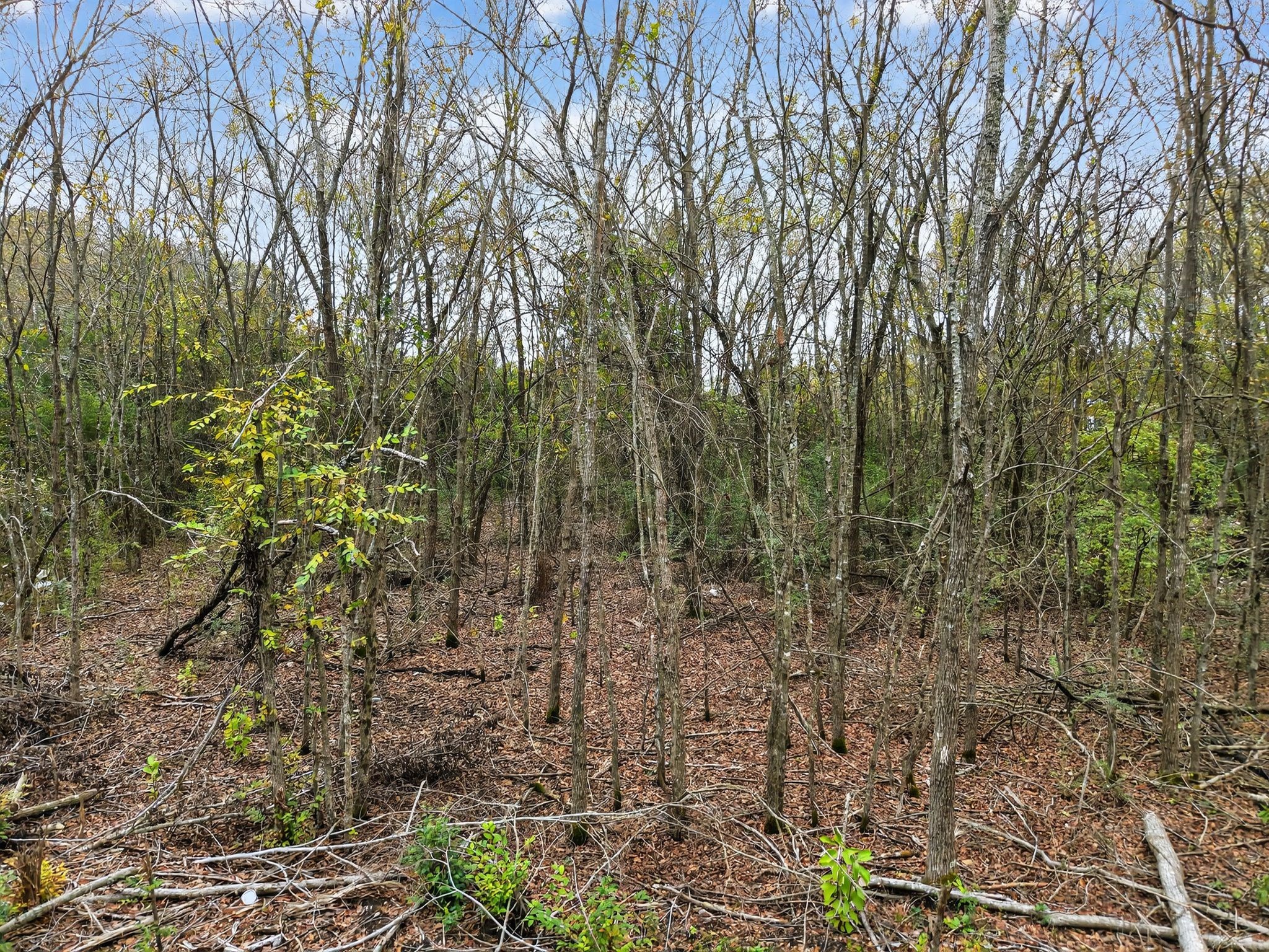 0 Co Road 277 Kaufman TX 75142