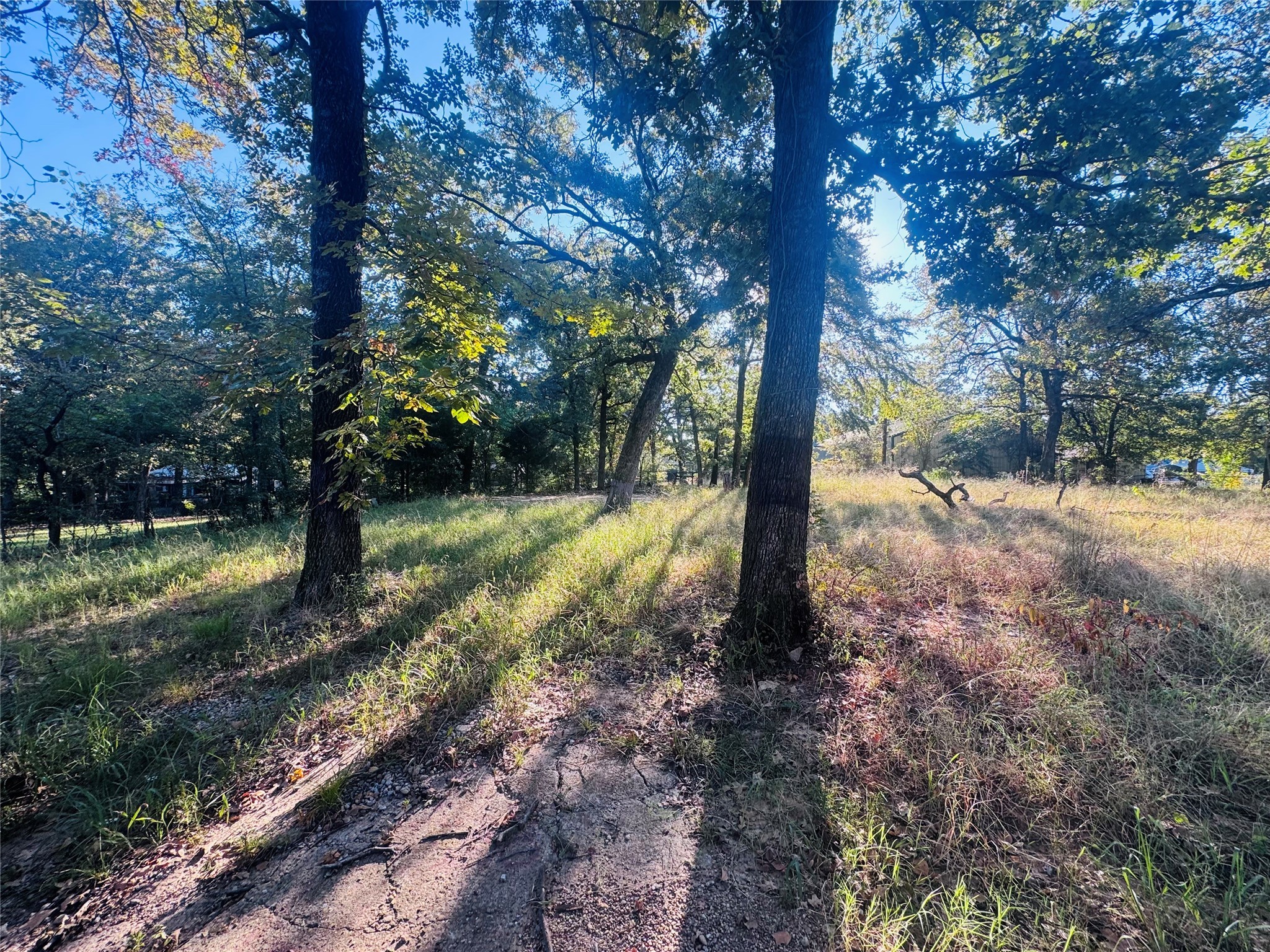 917 Hidden Valley Drive Tool TX 75143