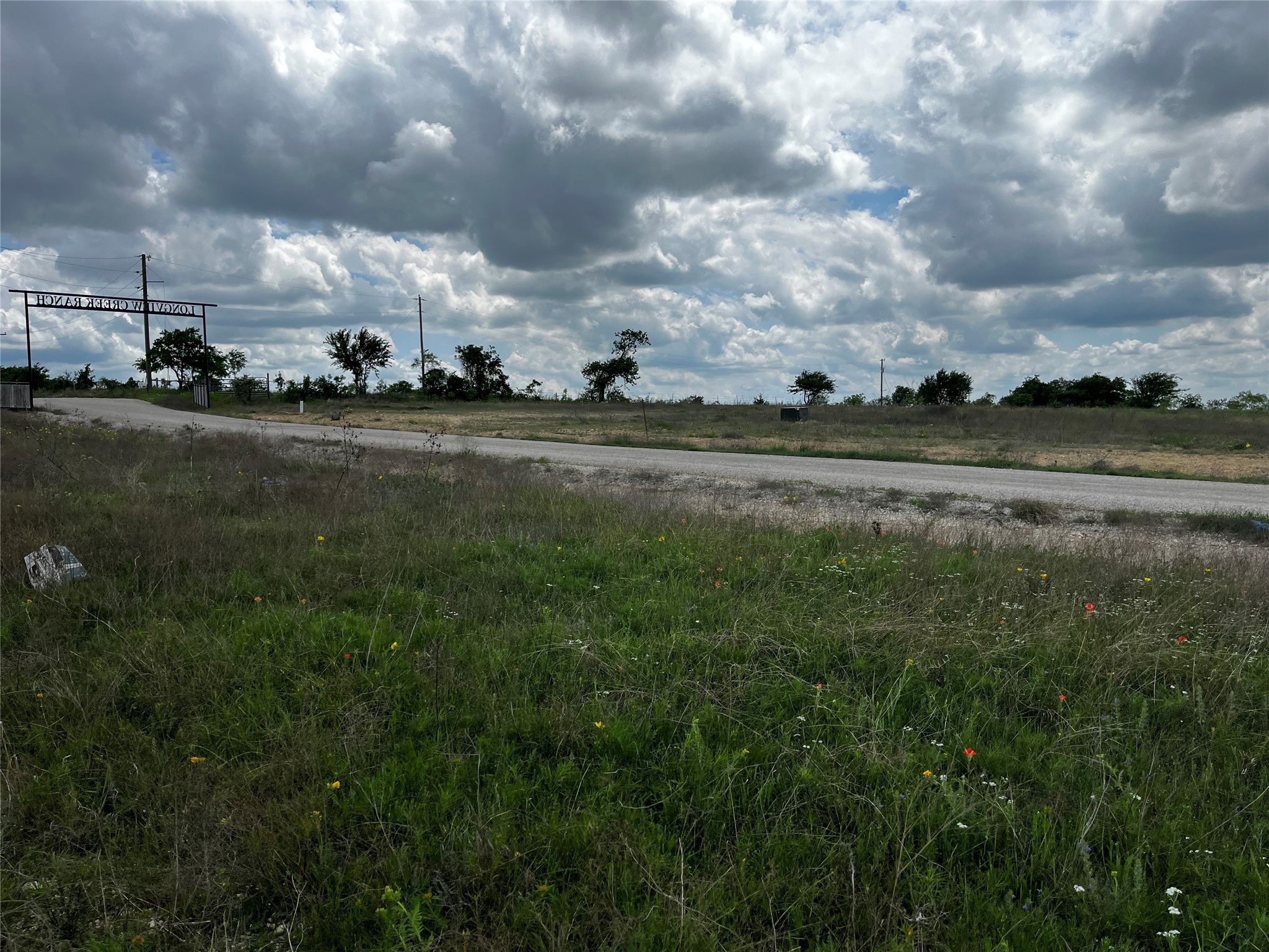 Lot 65 Longview Creek Ranch Trail Itasca TX 76055
