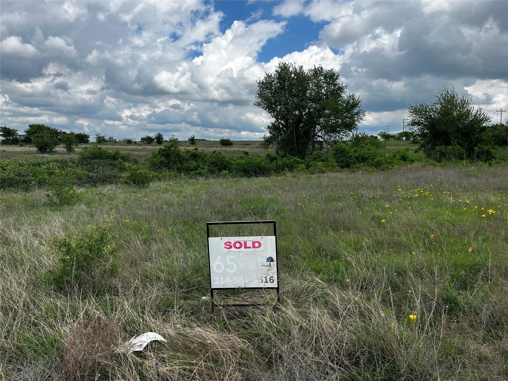 Lot 65 Longview Creek Ranch Trail Itasca TX 76055