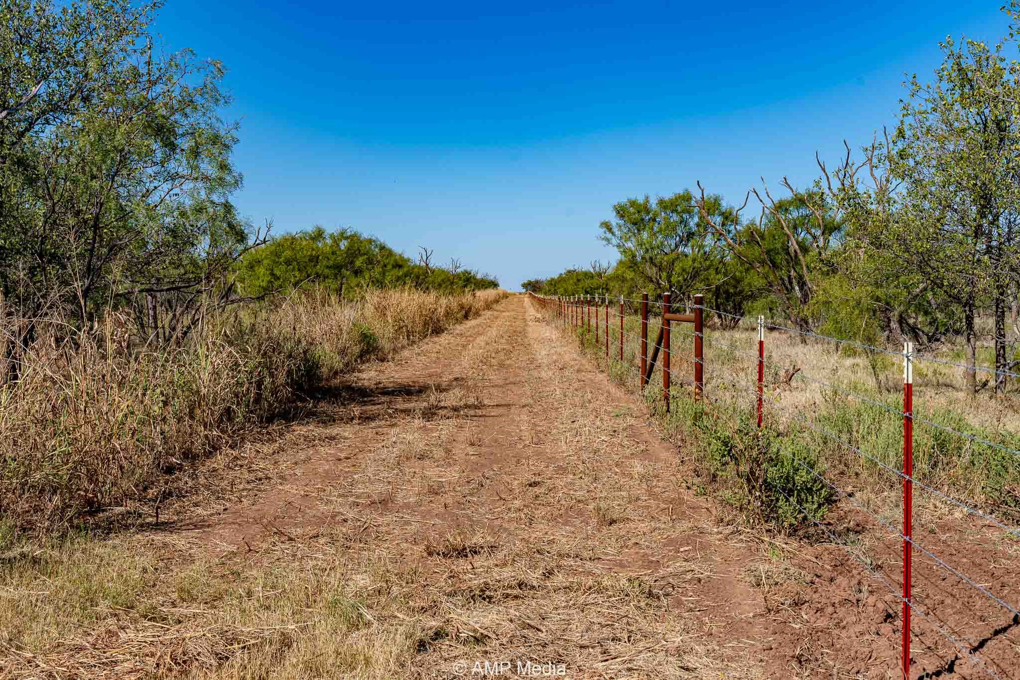 1504 Cr 423 Rule TX 79547