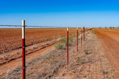 1504 Cr 423 Rule TX 79547