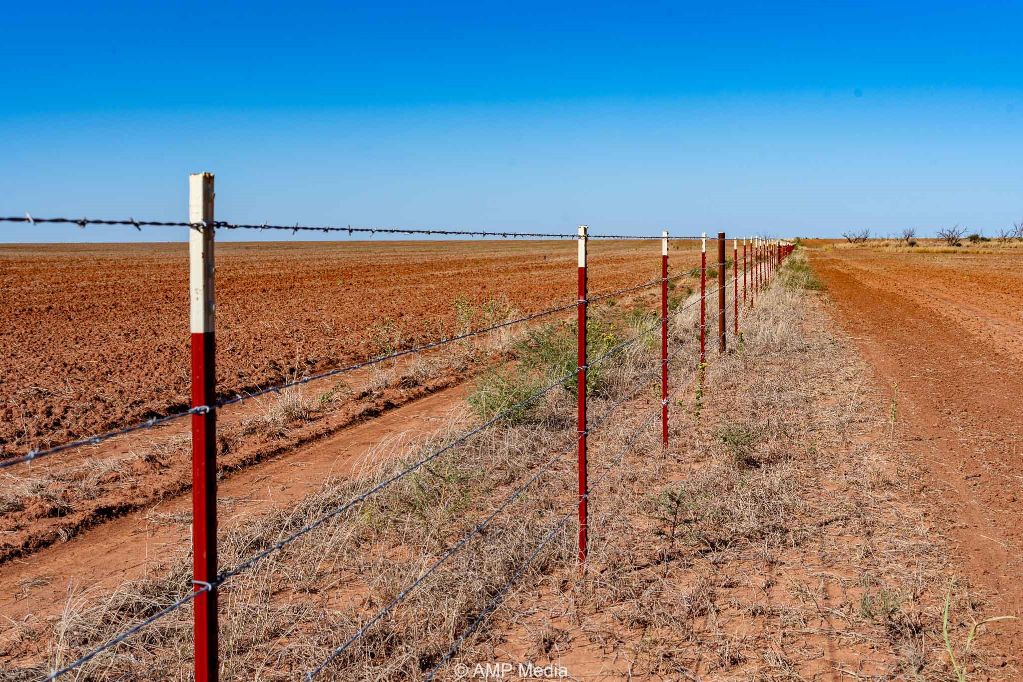 1504 Cr 423 Rule TX 79547