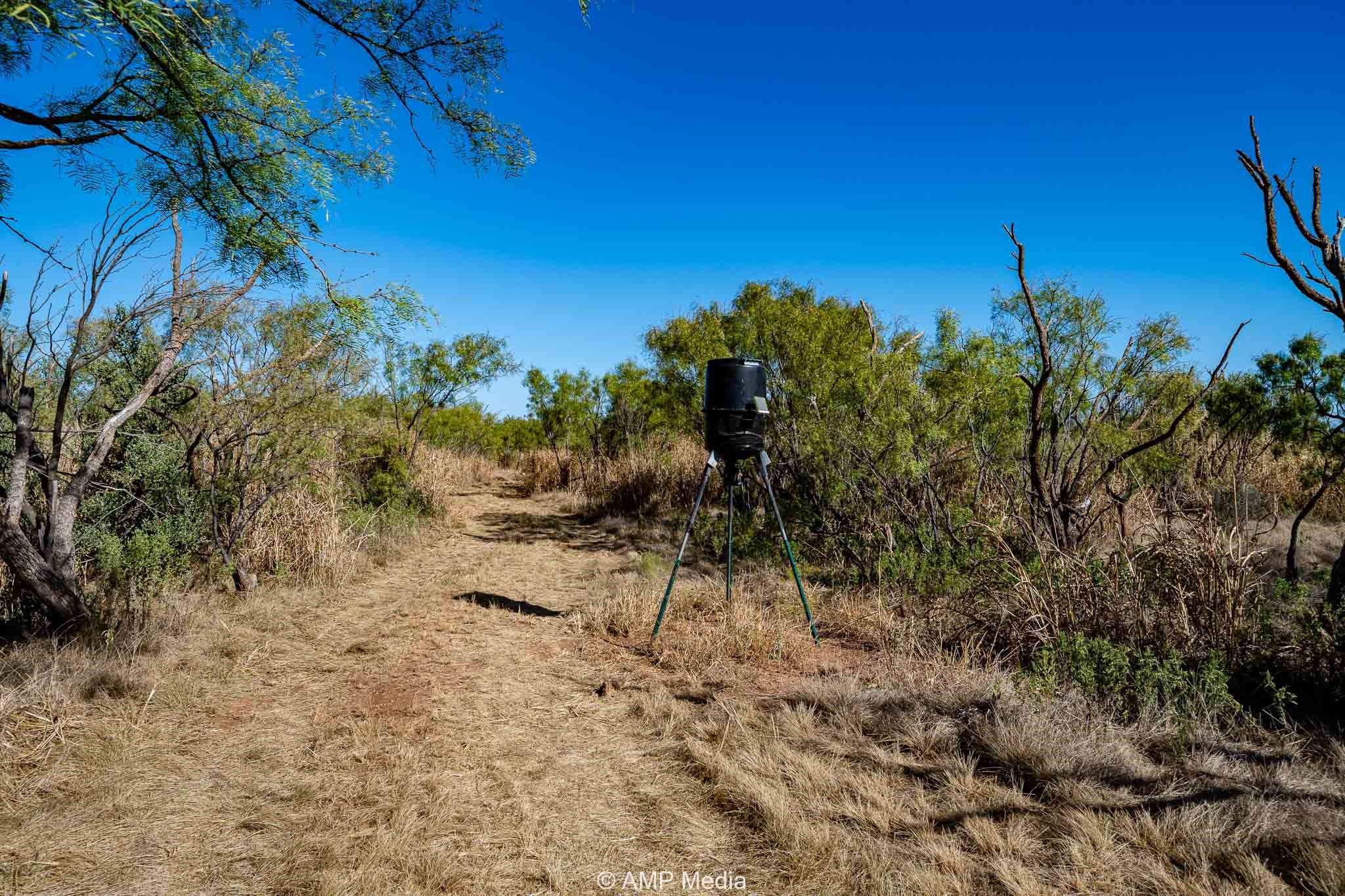 1504 Cr 423 Rule TX 79547