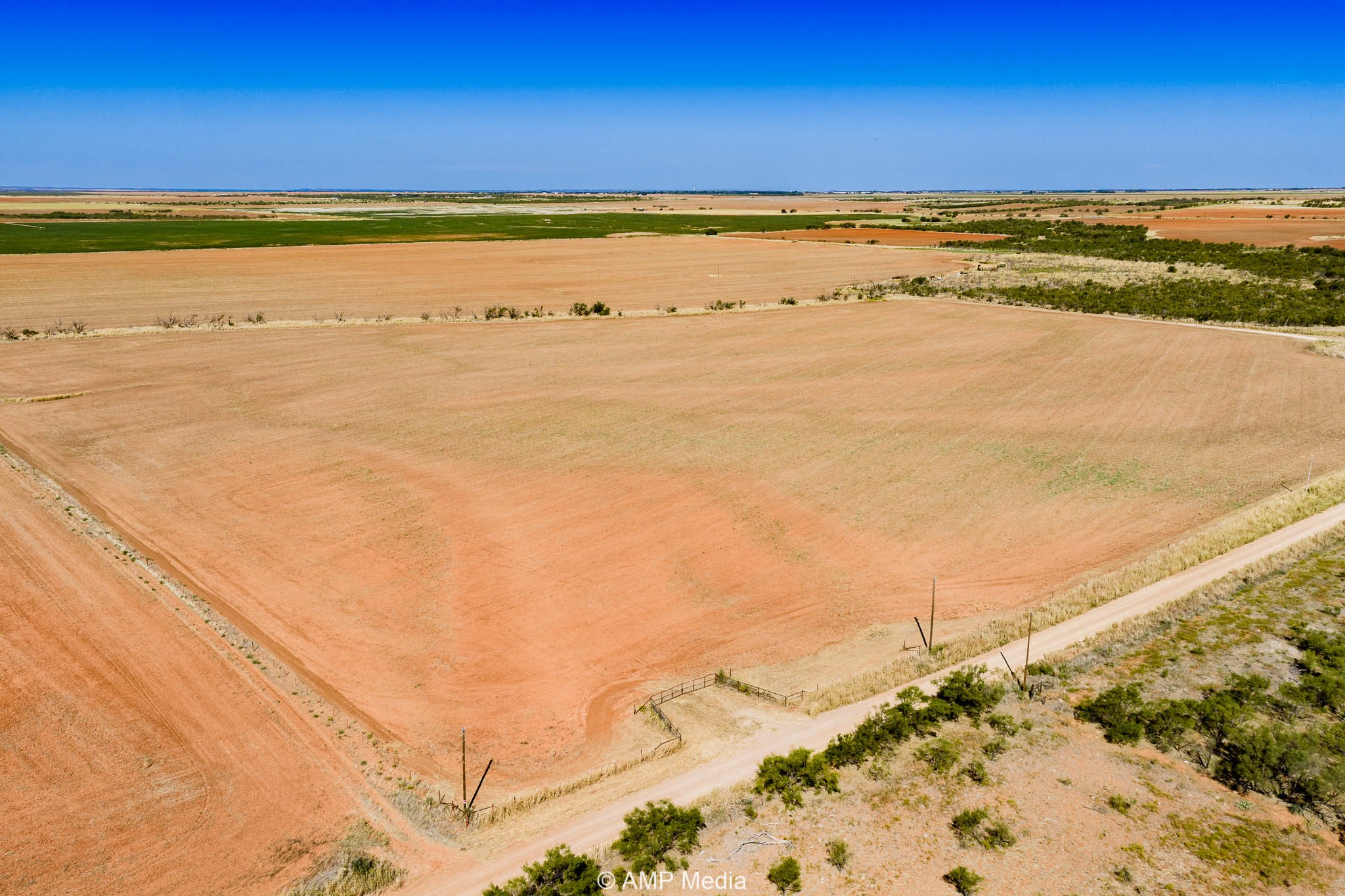 1504 Cr 423 Rule TX 79547