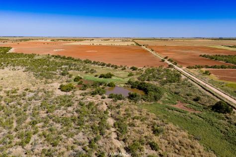 1504 Cr 423 Rule TX 79547