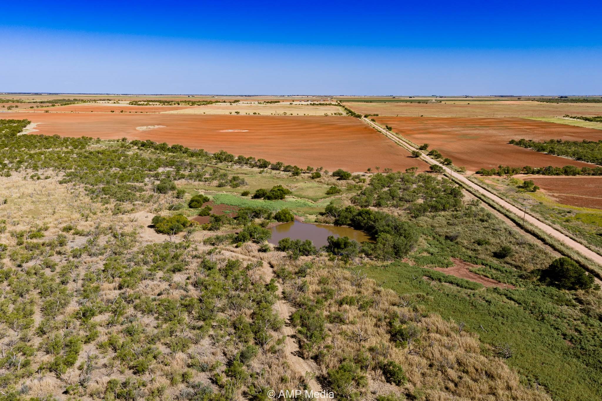 1504 Cr 423 Rule TX 79547