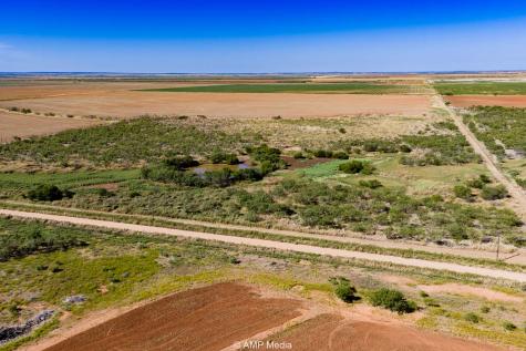 1504 Cr 423 Rule TX 79547