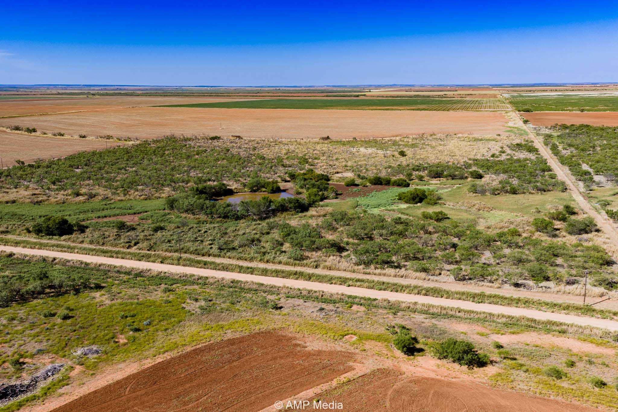 1504 Cr 423 Rule TX 79547