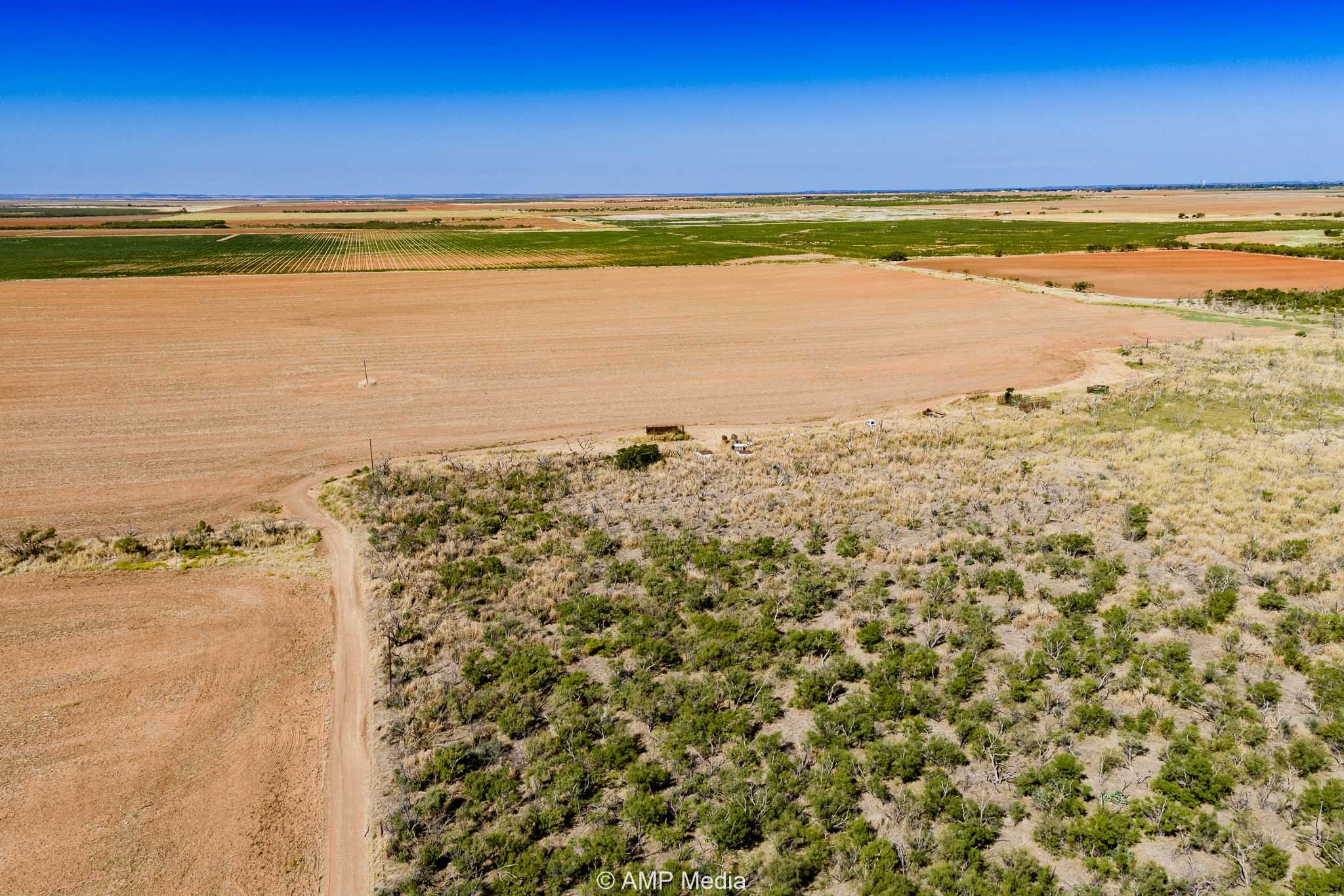 1504 Cr 423 Rule TX 79547
