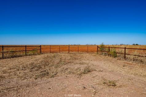 1504 Cr 423 Rule TX 79547