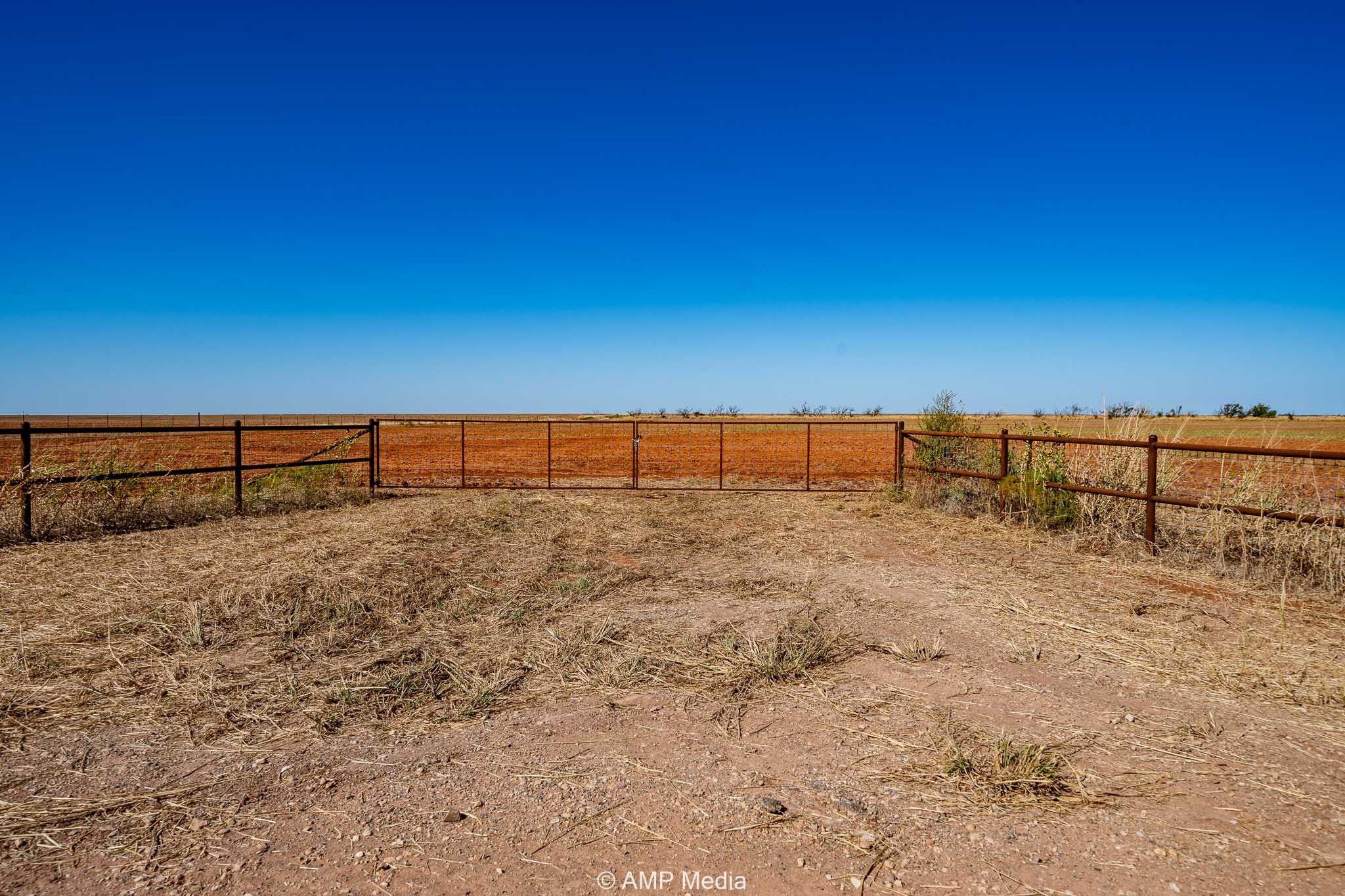 1504 Cr 423 Rule TX 79547