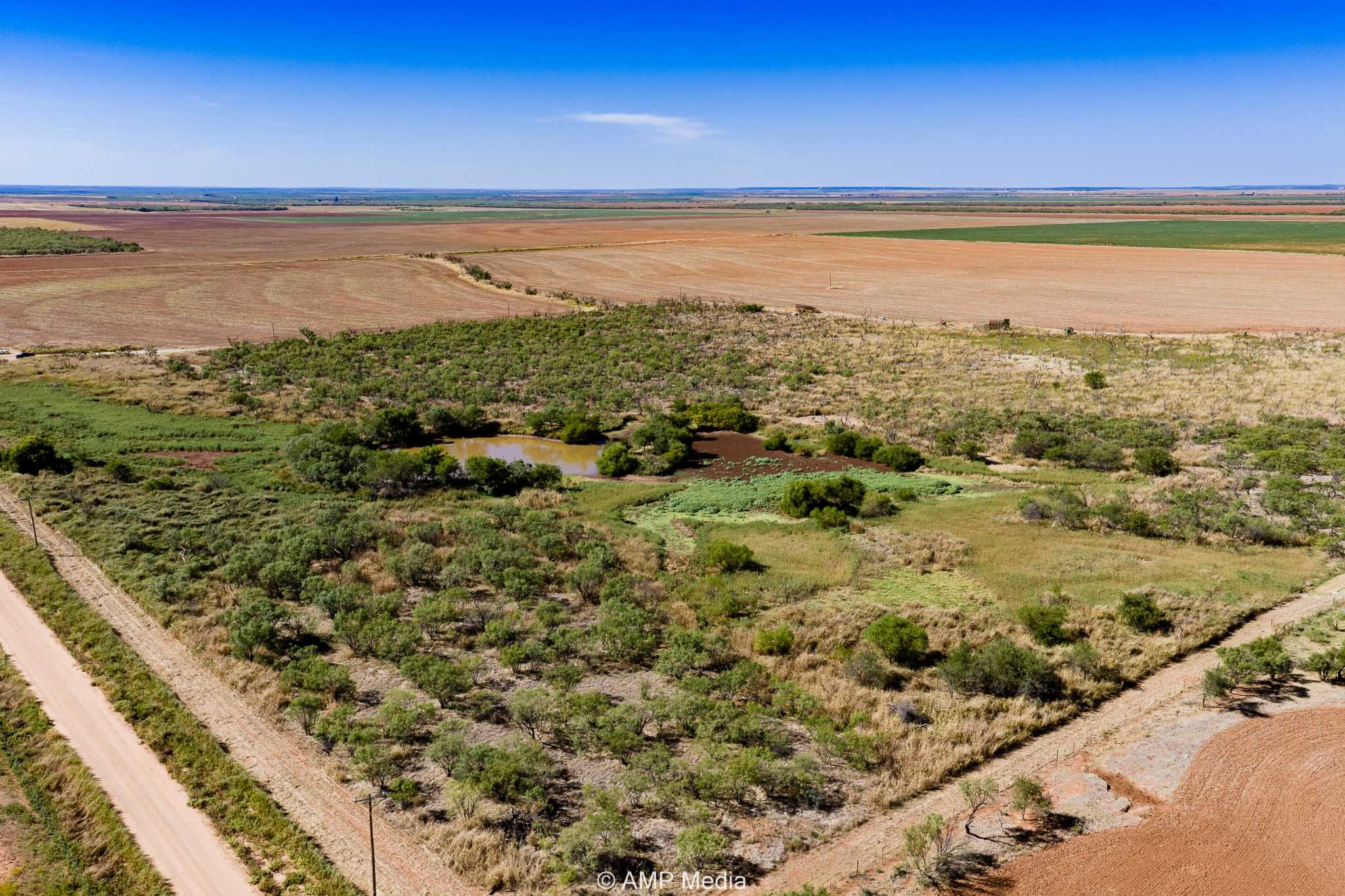 1504 Cr 423 Rule TX 79547