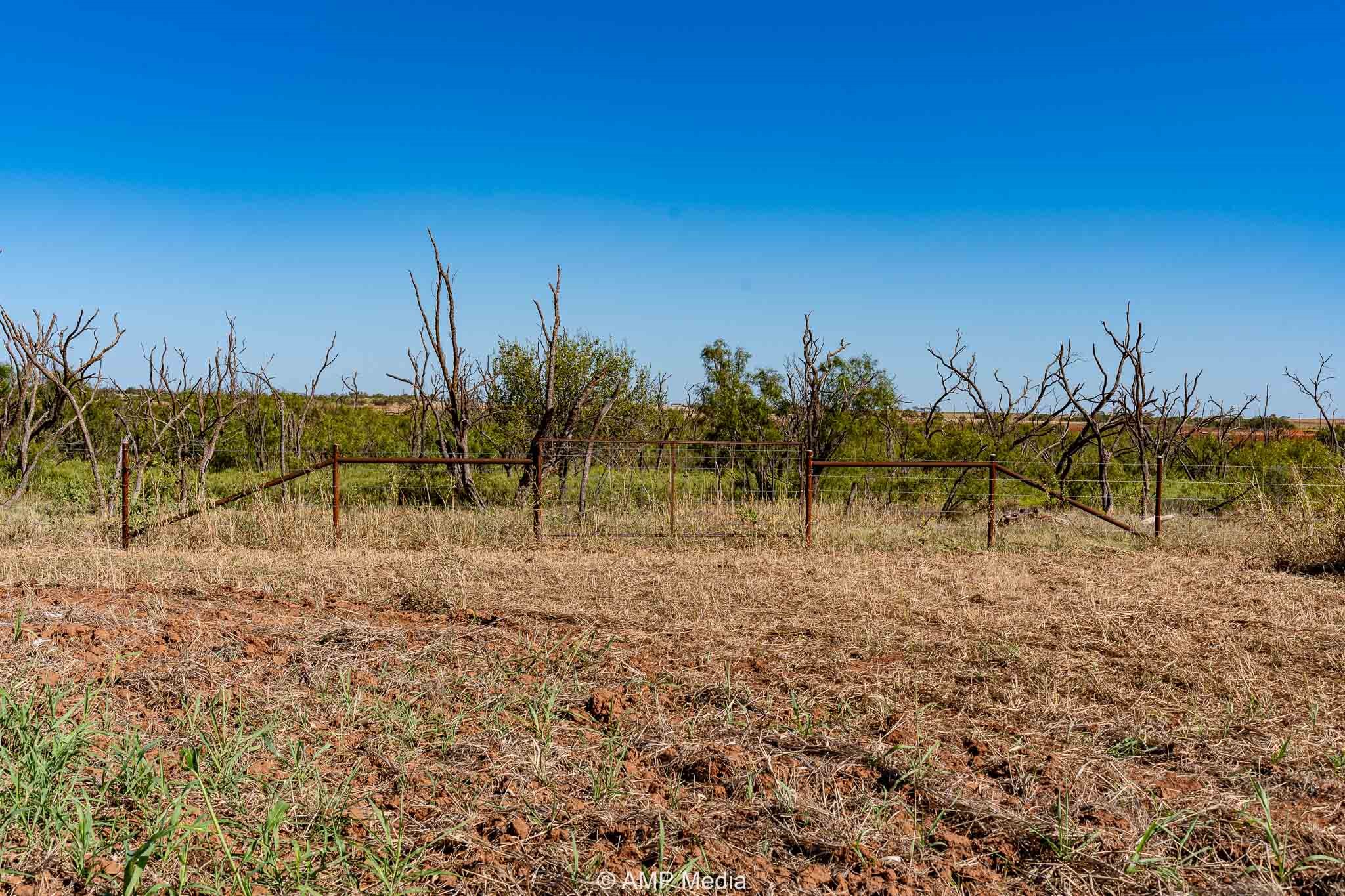 1504 Cr 423 Rule TX 79547