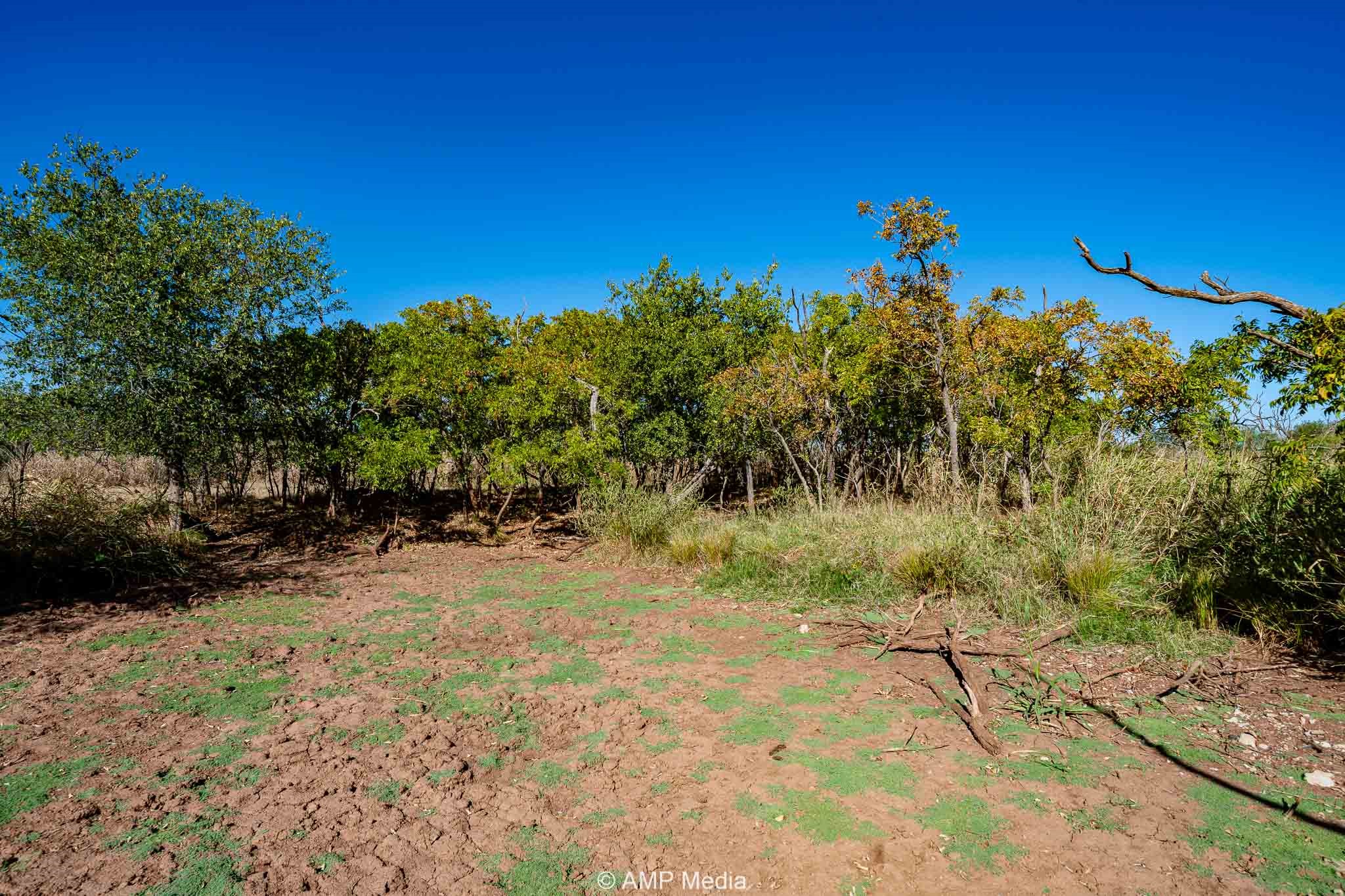 1504 Cr 423 Rule TX 79547