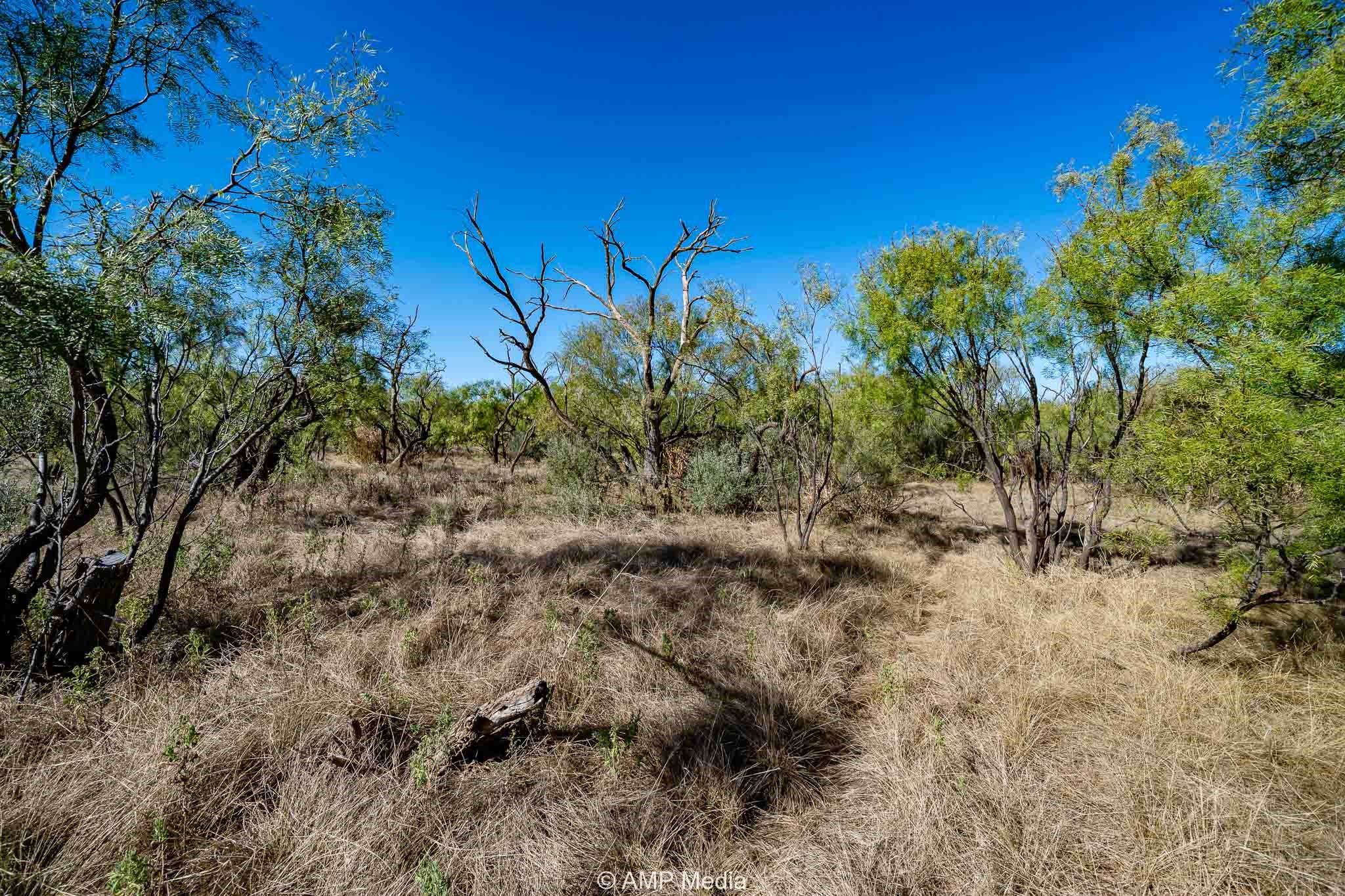1504 Cr 423 Rule TX 79547