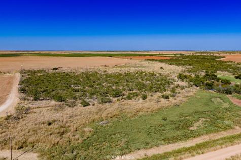 1504 Cr 423 Rule TX 79547