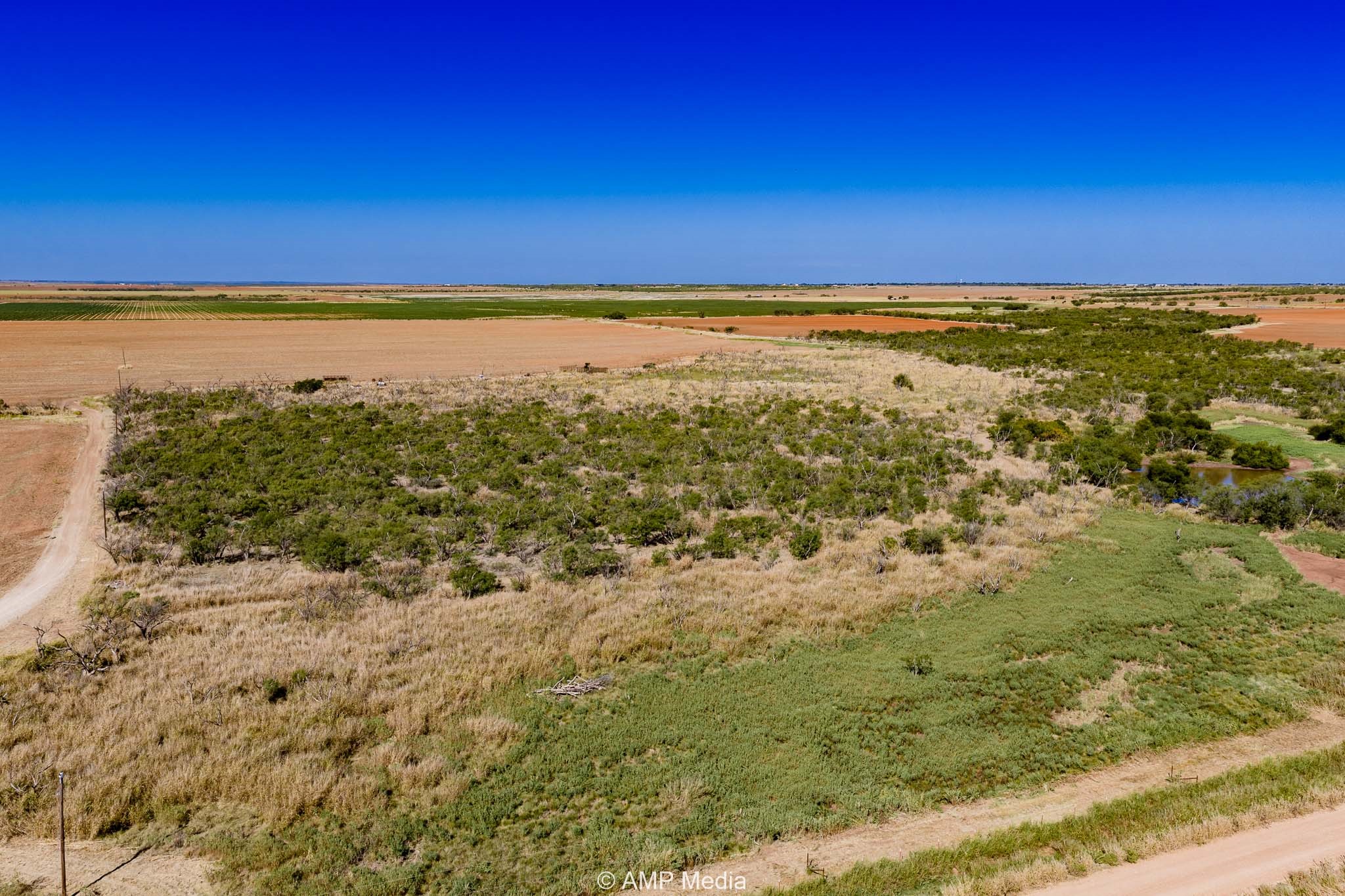 1504 Cr 423 Rule TX 79547