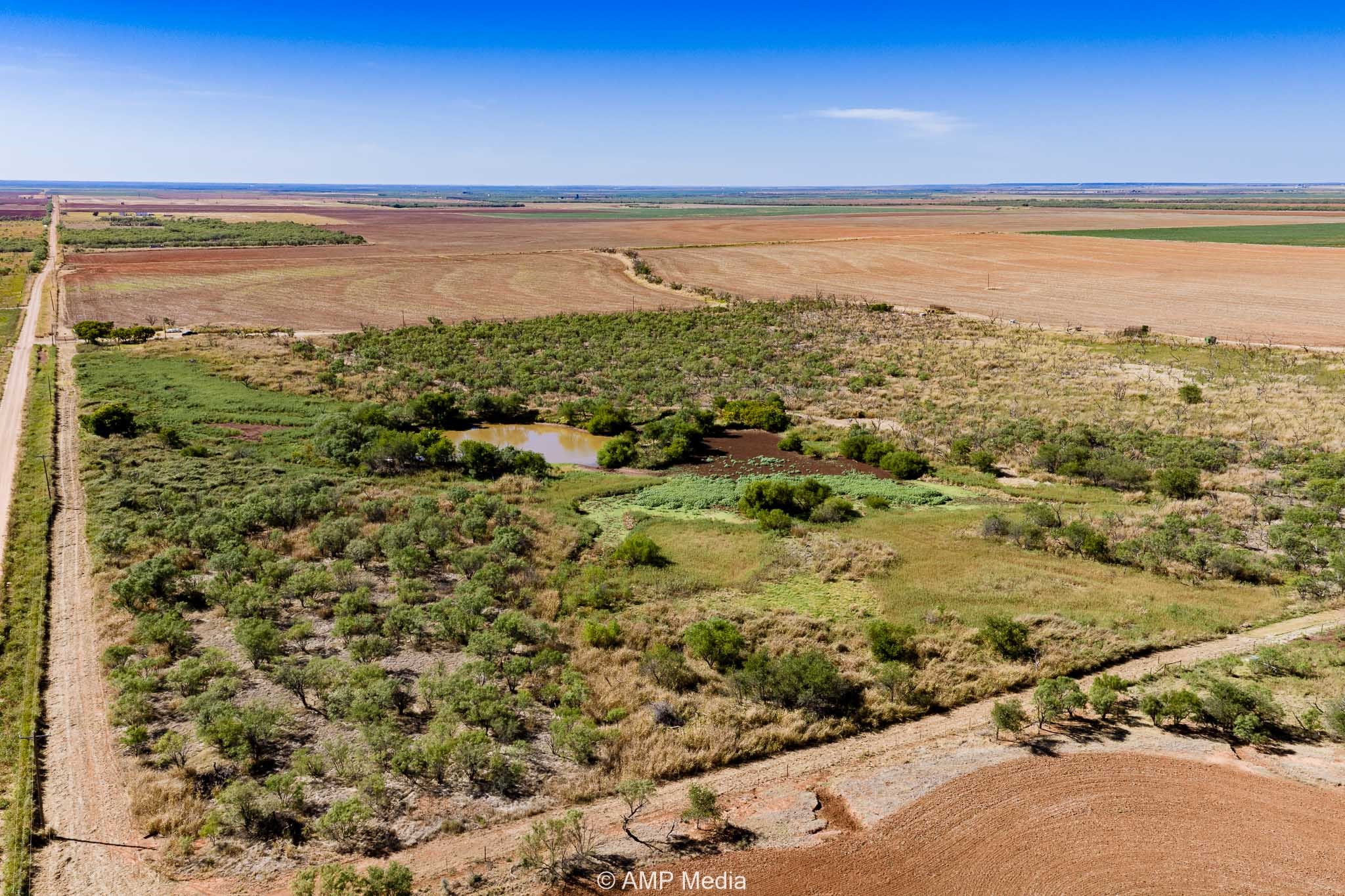 1504 Cr 423 Rule TX 79547