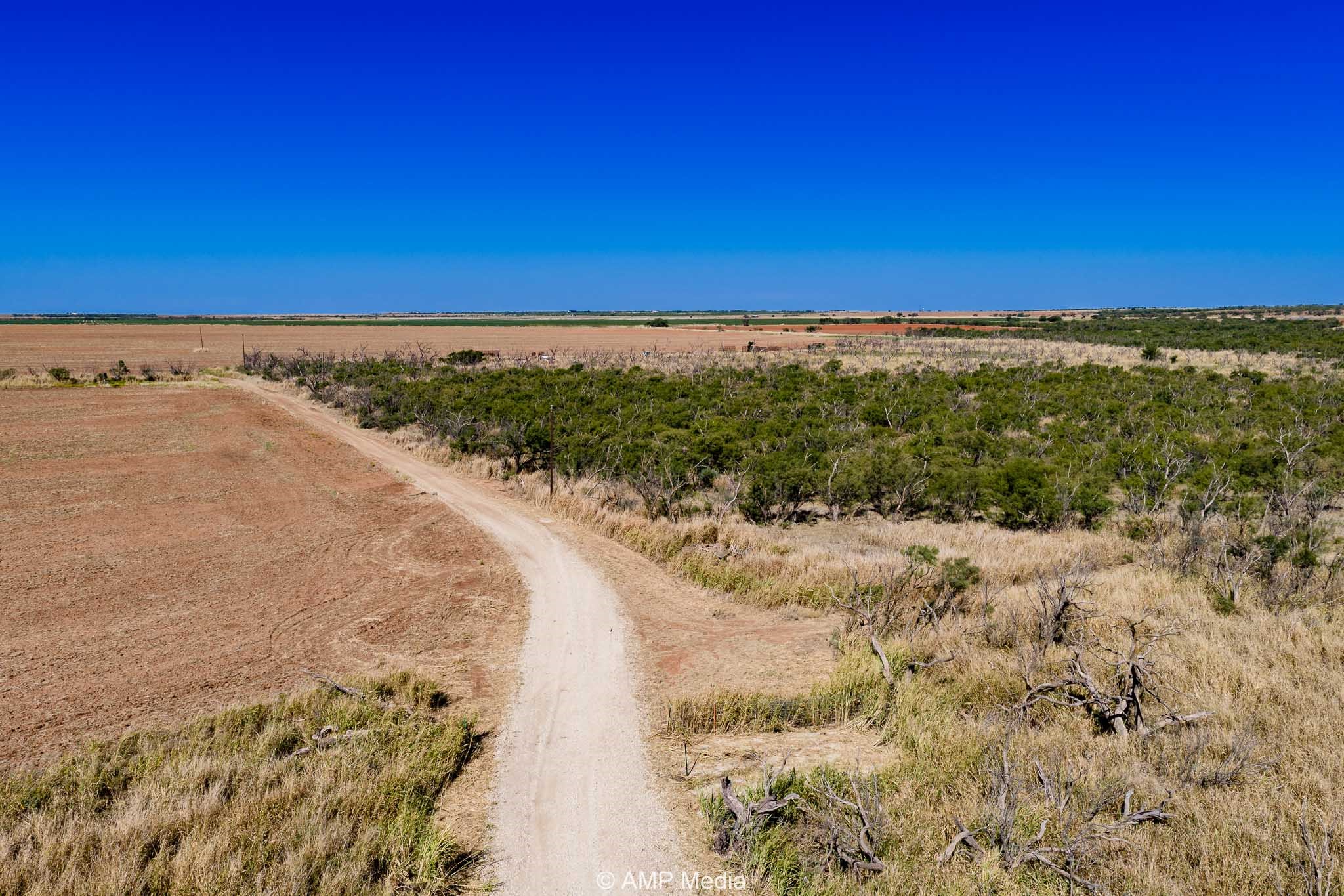 1504 Cr 423 Rule TX 79547