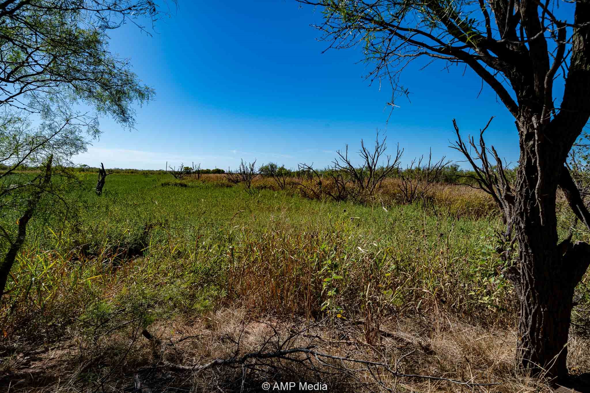 1504 Cr 423 Rule TX 79547