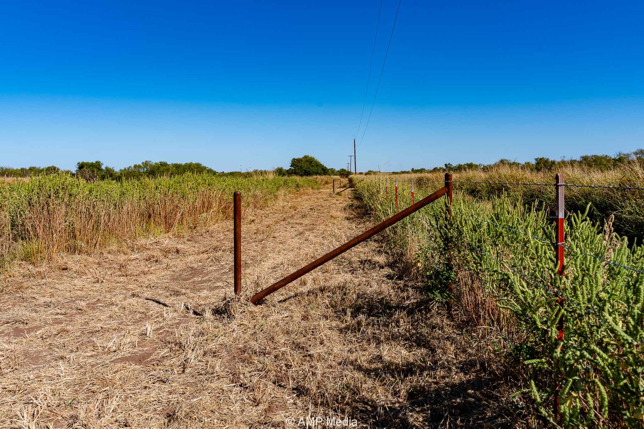 1504 Cr 423 Rule TX 79547