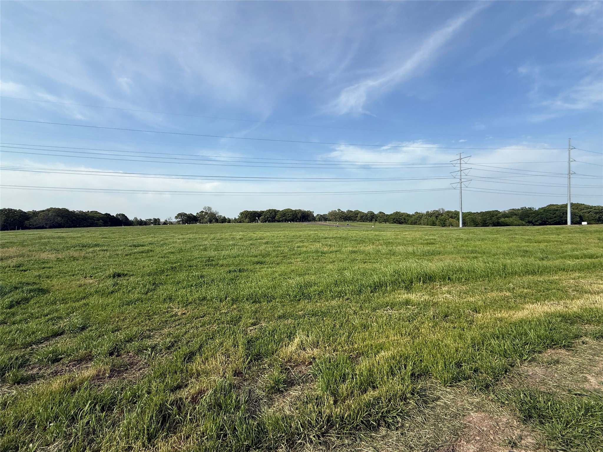 235 Wildflower Way Dodd City TX 75438