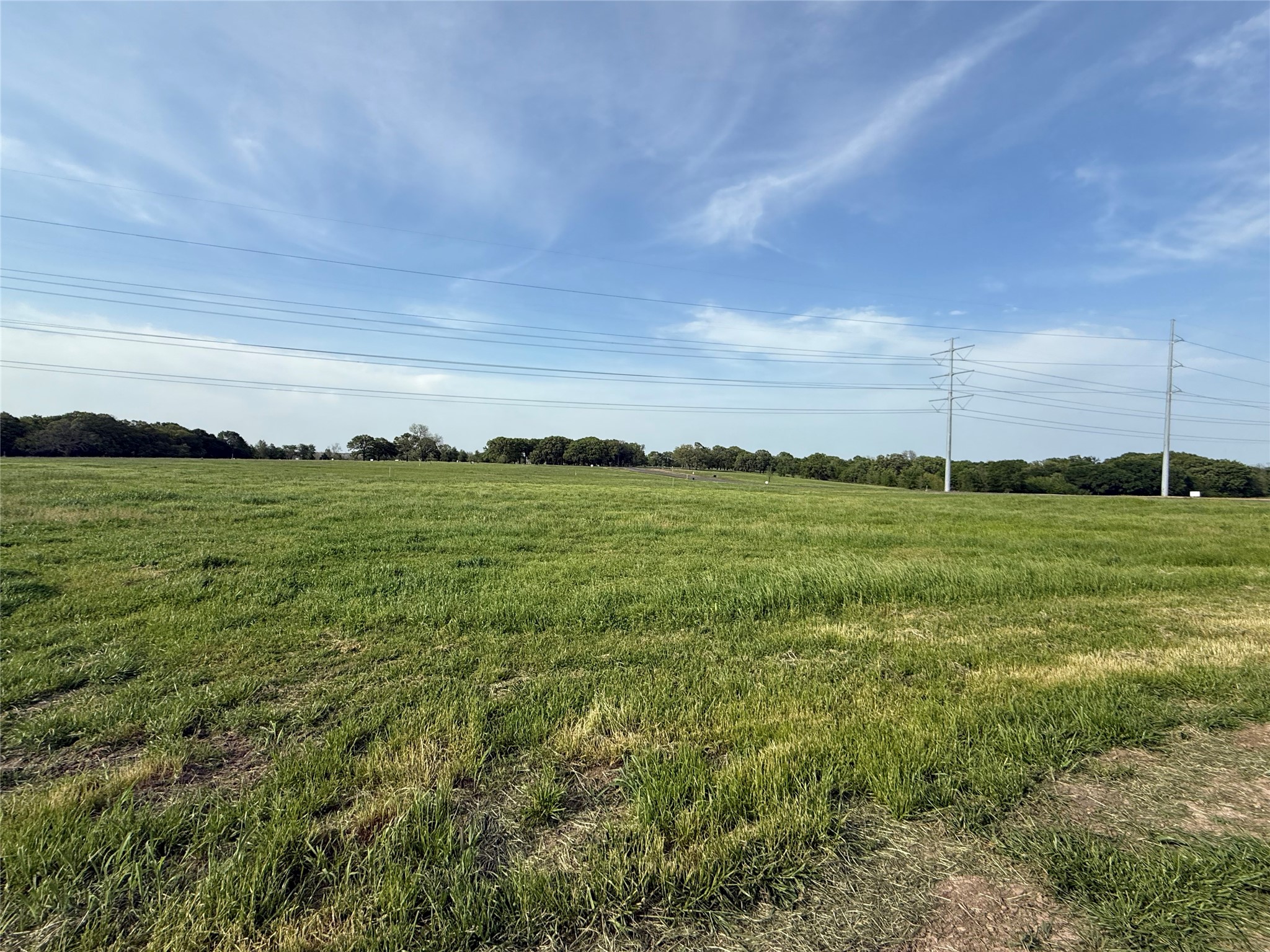 235 Wildflower Way Dodd City TX 75438