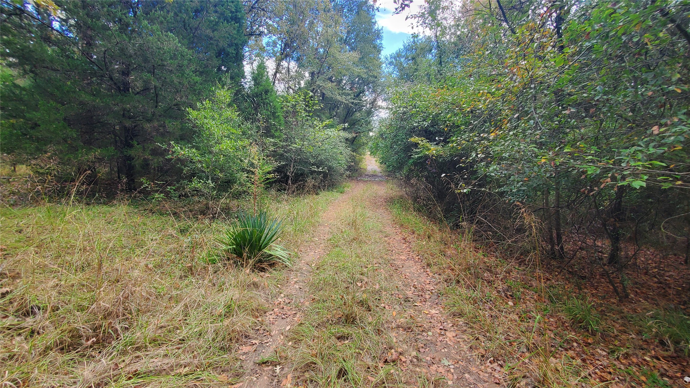 0 Apache Trail Log Cabin TX 75148