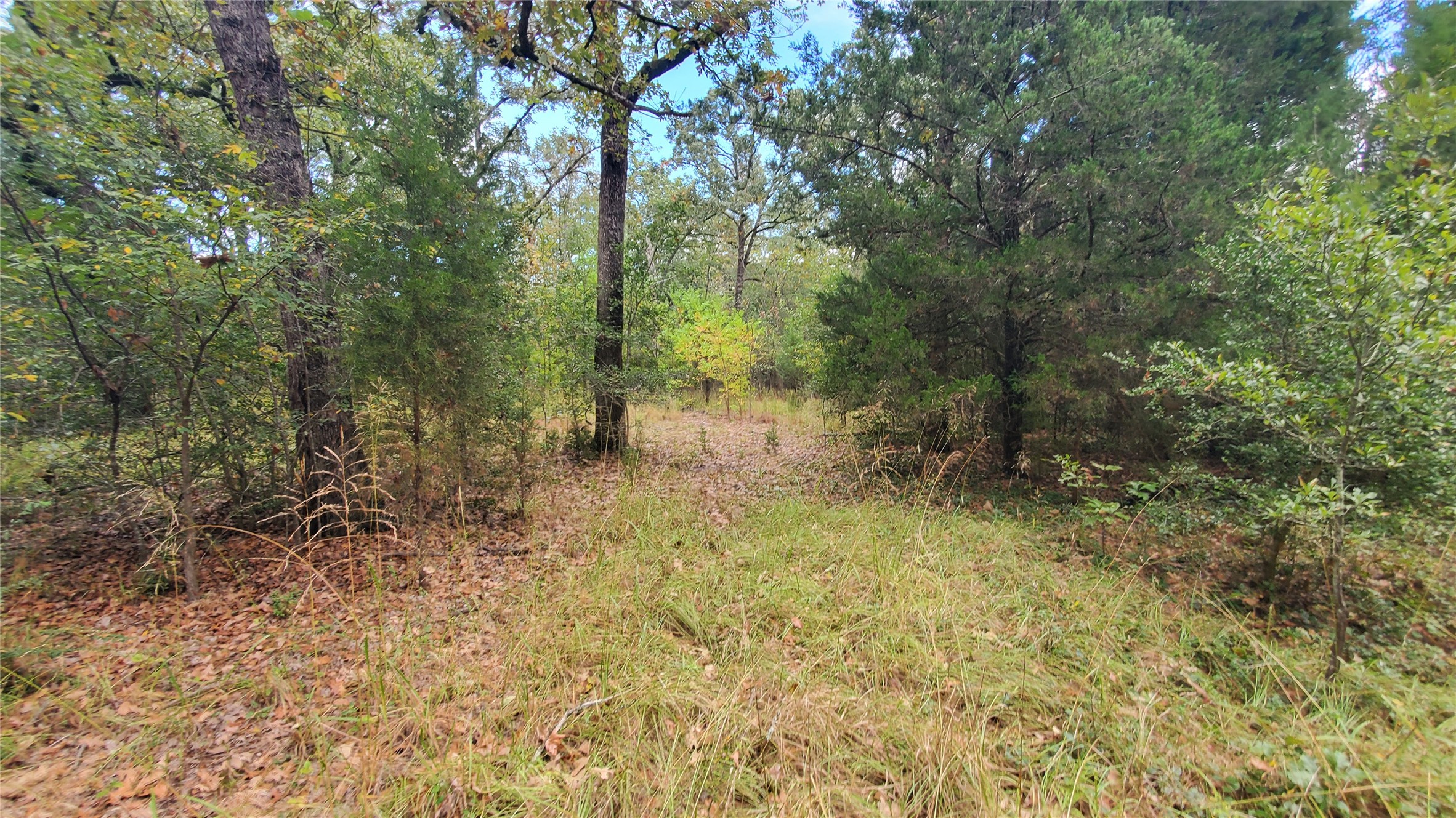 0 Apache Trail Log Cabin TX 75148