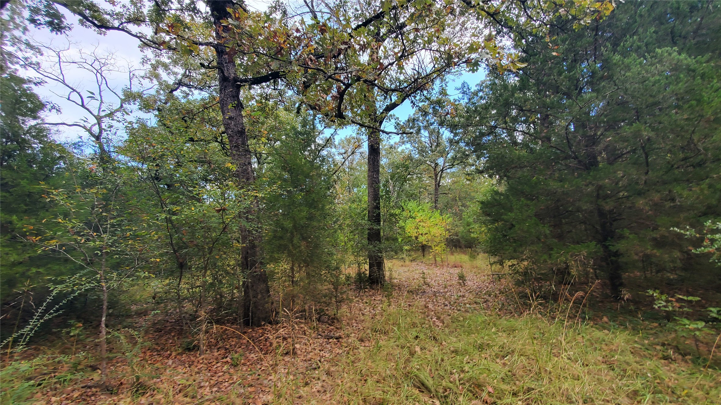0 Apache Trail Log Cabin TX 75148