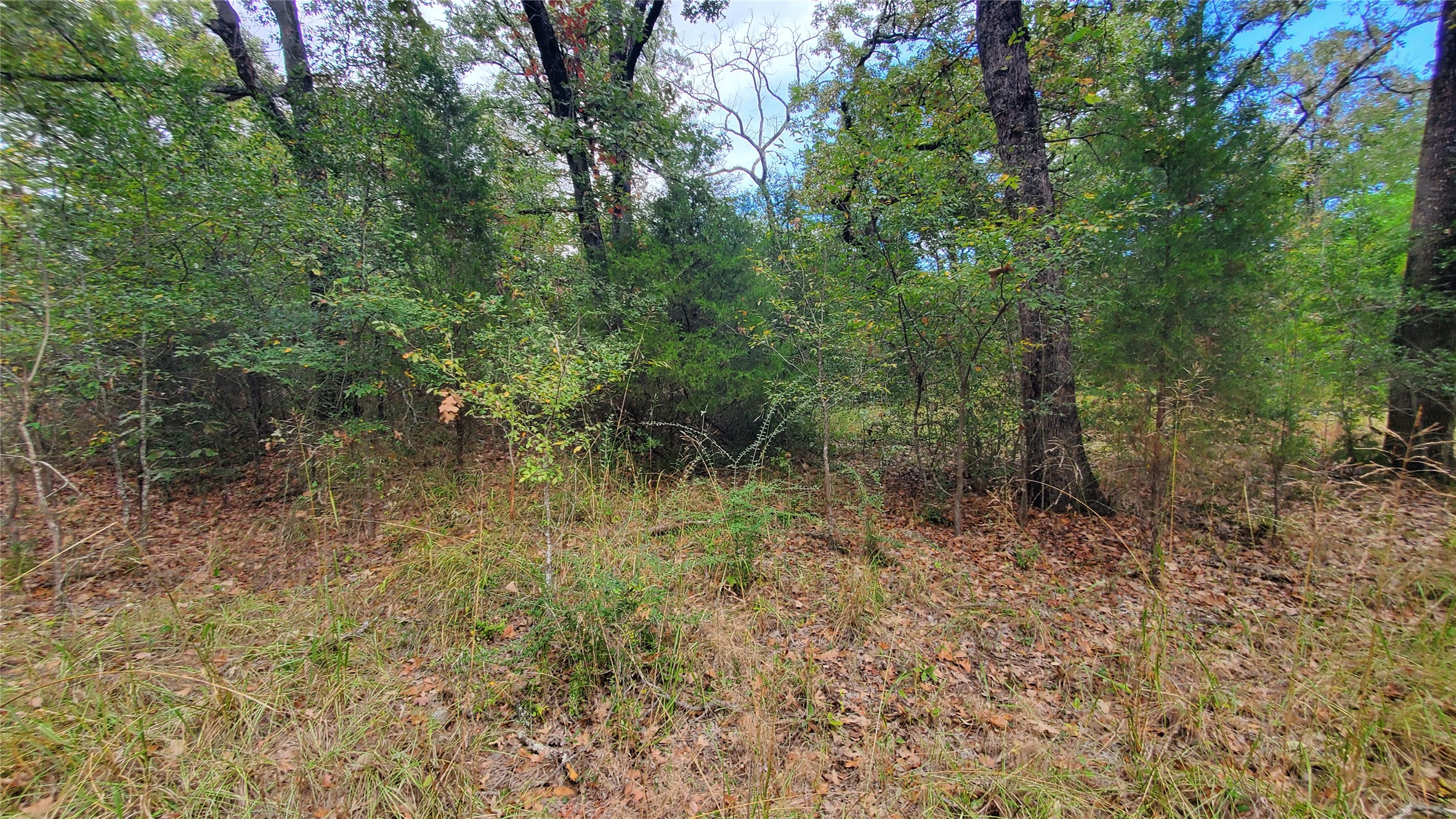 0 Apache Trail Log Cabin TX 75148