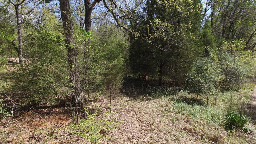 0 Apache Trail Log Cabin TX 75148