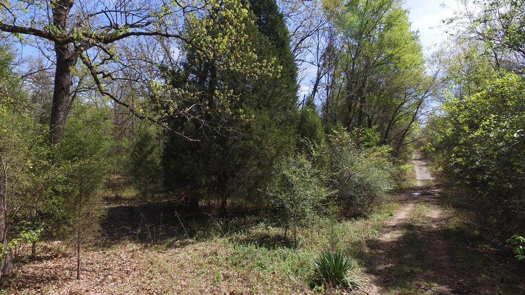 0 Apache Trail Log Cabin TX 75148